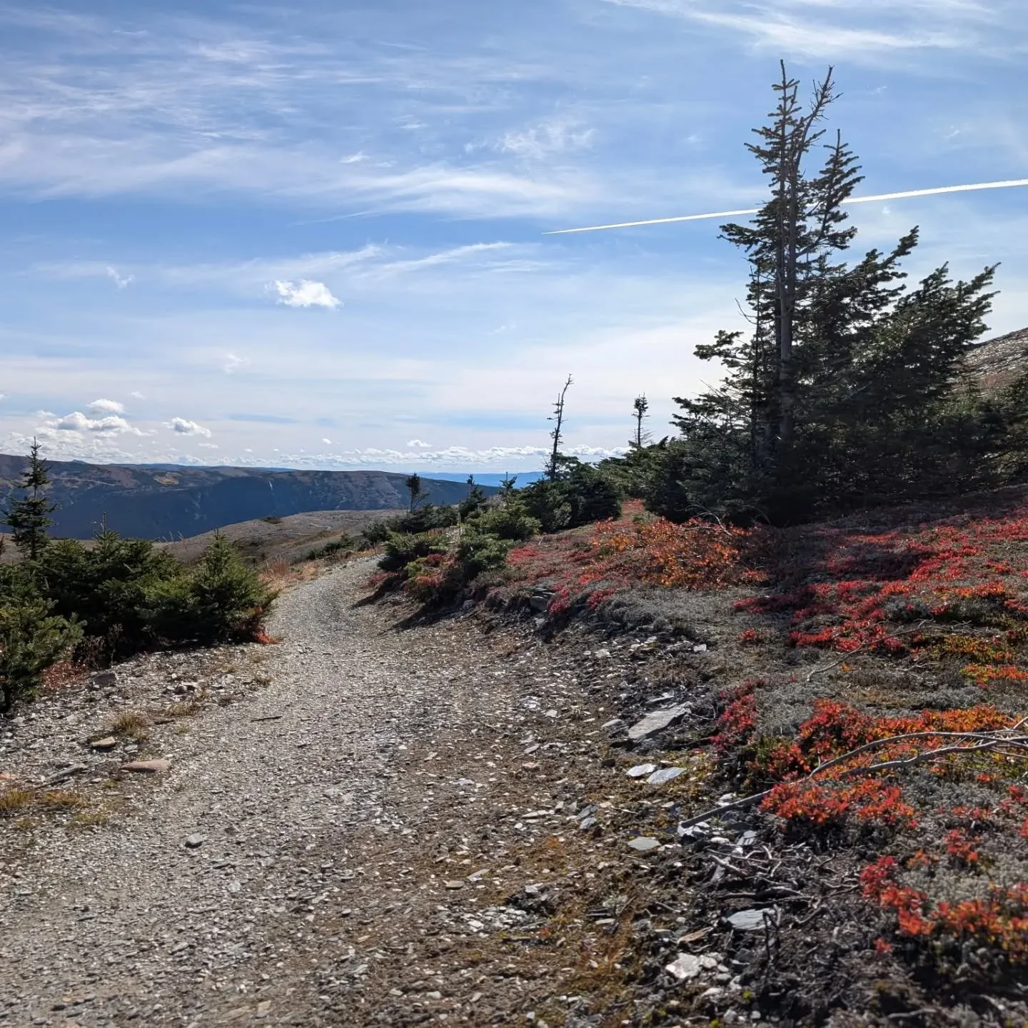 A beautiful afternoon spent mountain biking the Royal Coachman trail on Morfee mountain today. The fall colours are still fantastic with the sunlight but a week earlier may have been better, still beautiful though and gorgeous weather.
.
Looking forw