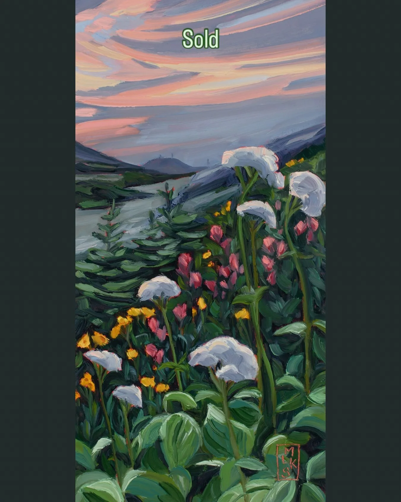 🔴Sold
Nice to see this painting sell ❤️ thank-you to the collector and to @the.purple.bike.
.
&lsquo;Sitka Valerian Sunrise on Morfee&rsquo; 2026
12&rdquo;x6&rdquo; oil on cradled wood panel