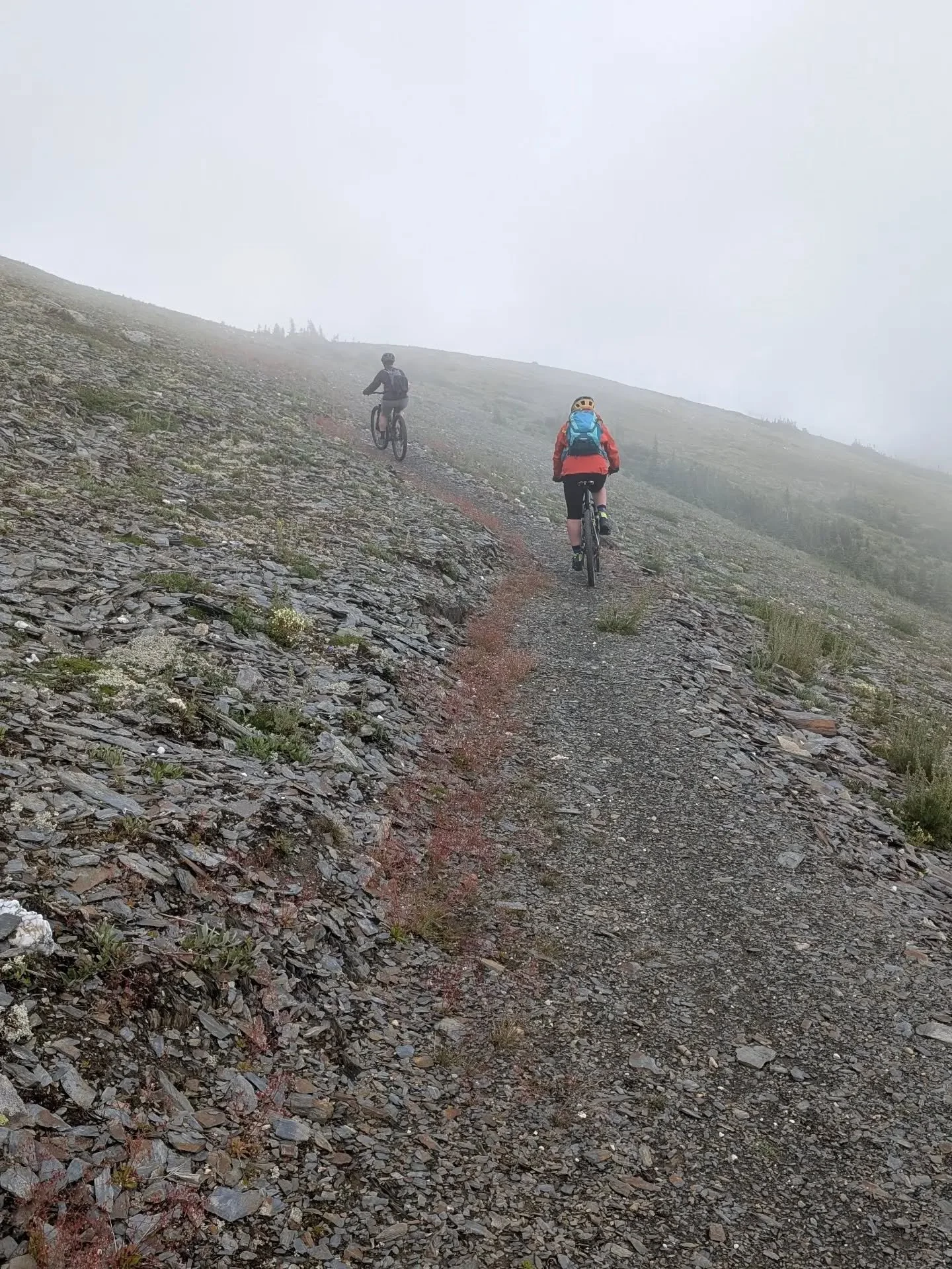 It's The Rockin the Ridgeline event in Mackenzie this weekend so a couple of friends and I went out for a bike ride on the alpine section of the Ridgeline trail. A cloudy but beautiful day with amazing wildflowers. Took a lot of photos, here are some