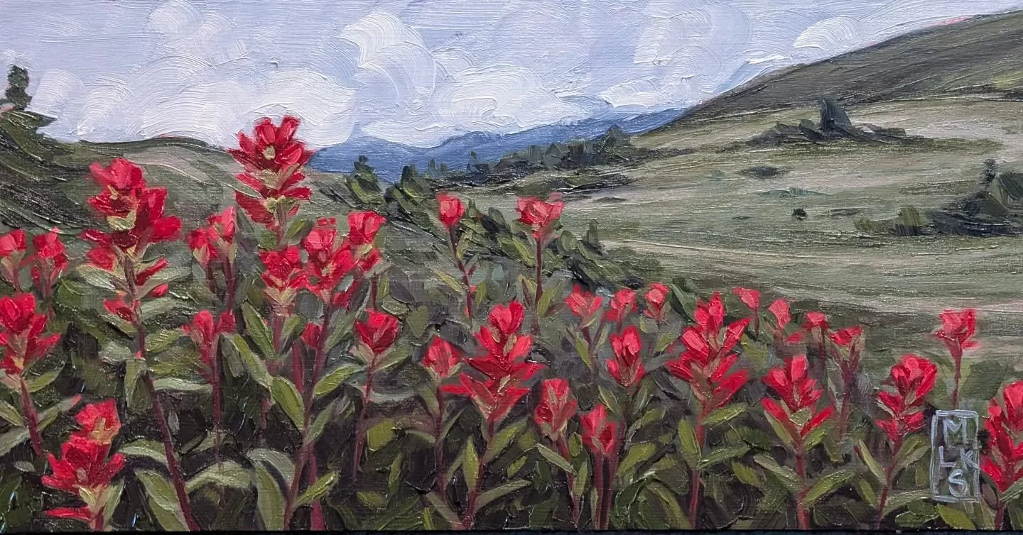 Sharing with you a recently completed 6"x12" oil painting featuring a view from the Royal Coachman trail of one of the many patches of paintbrush flowers that border the trail along this section of trail. I do have another completed paintin