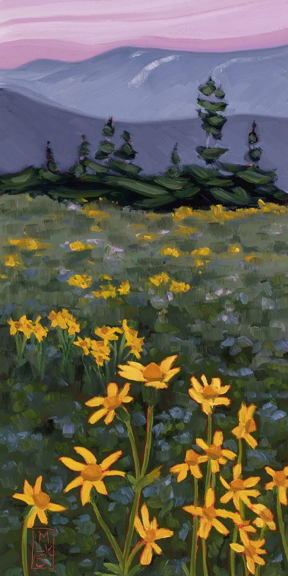 Arnica Meadow on Morfee
12"x6"x1.5" oil on canvas 2026
$160 CAD plus applicable
taxes and shipping