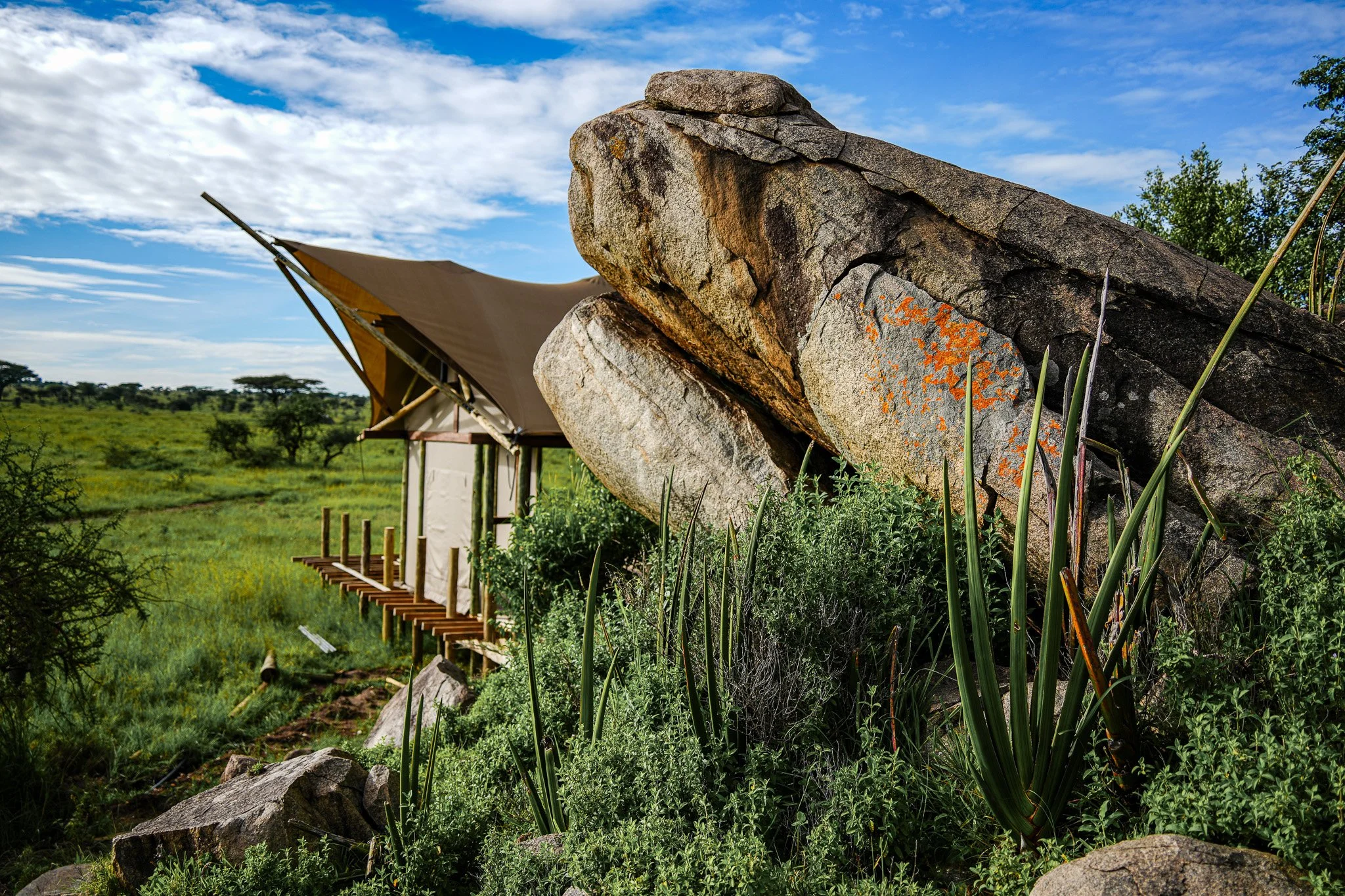 Kuona Luxury Safari Lodge