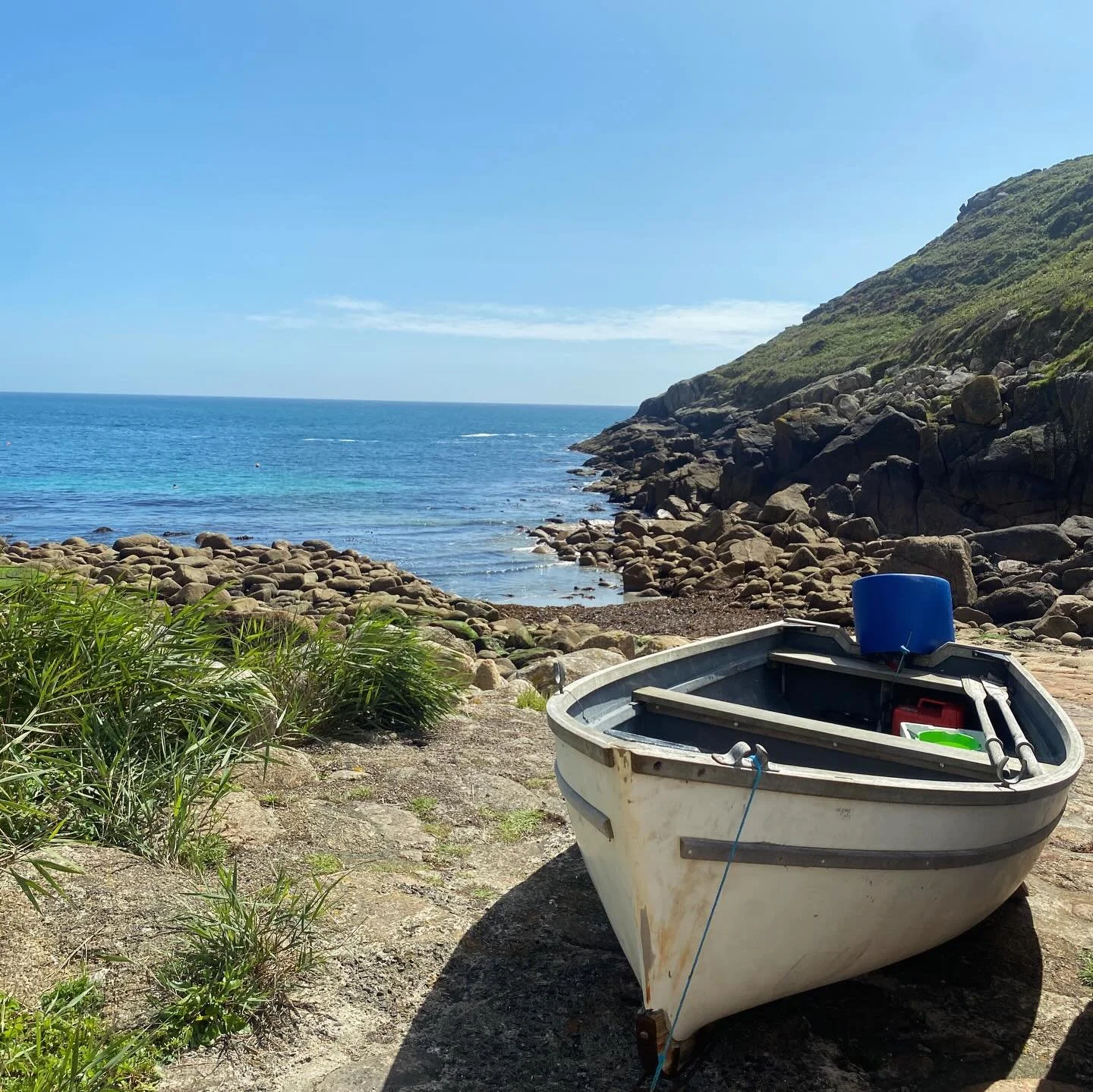 dreaming of summers in Devon and Cornwall 🦋🌸🌞
