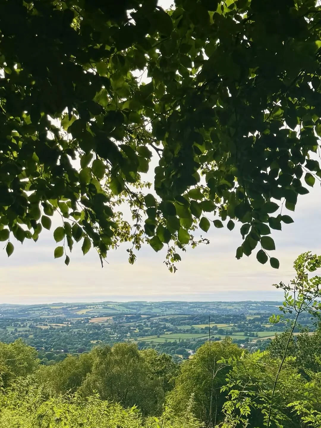 Spring days in the South West 🌞🍉 Sunshine dancing across rolling green hills, blossom lining the country lanes, and a fresh breeze carrying the scent of wildflowers. 🌼🌱 From birdsong in the morning to golden sunsets over the sea, every corner fee