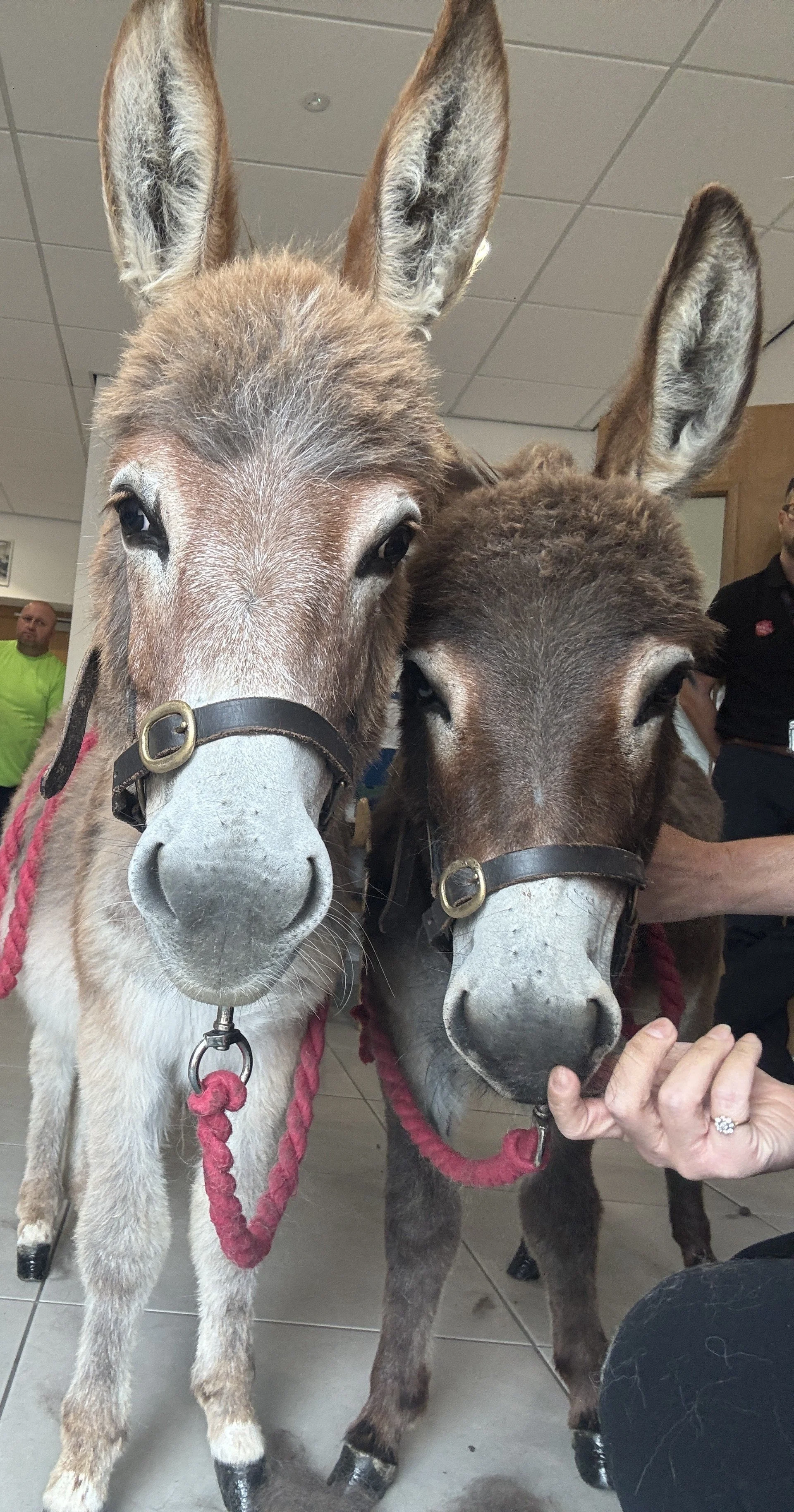 Northamptonshire 3.jpg