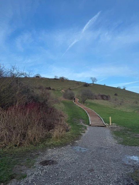 St Catherines Hill 2.jpg