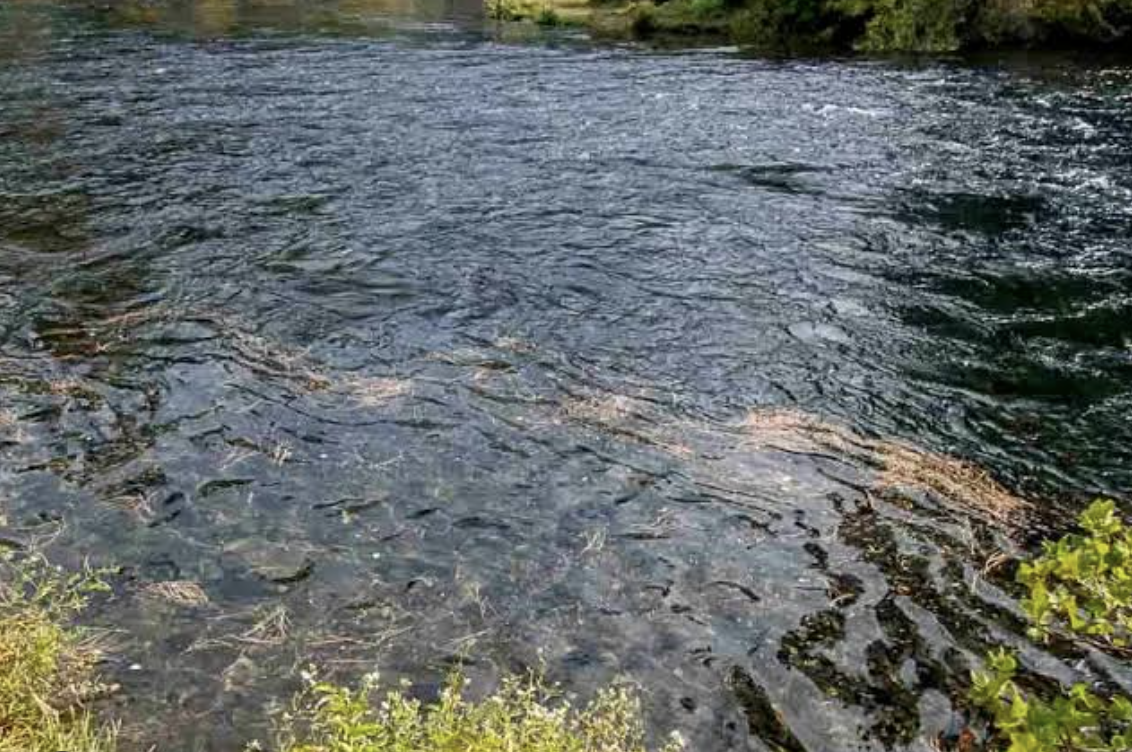 River seam with an eddy
