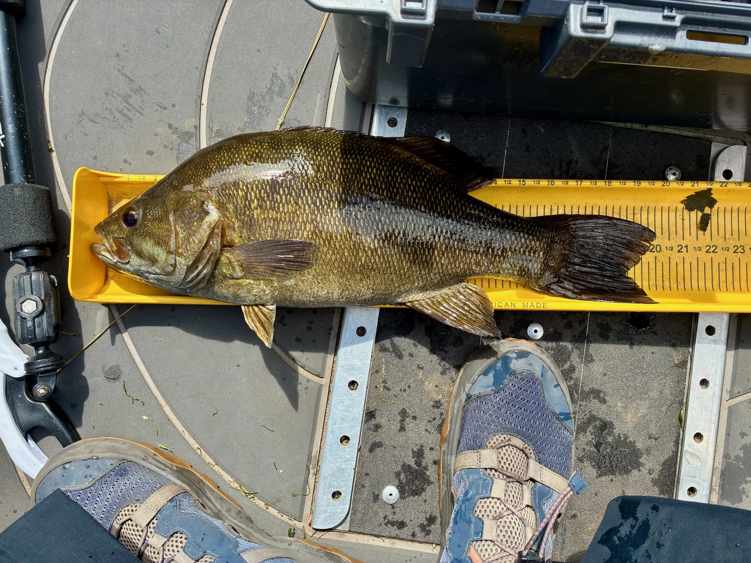 NORTHFISH Angling | Guided Trophy Smallmouth Bass Fishing | Upper Mississippi River Smallmouth Bass | Crow Wing River Smallmouth Bass