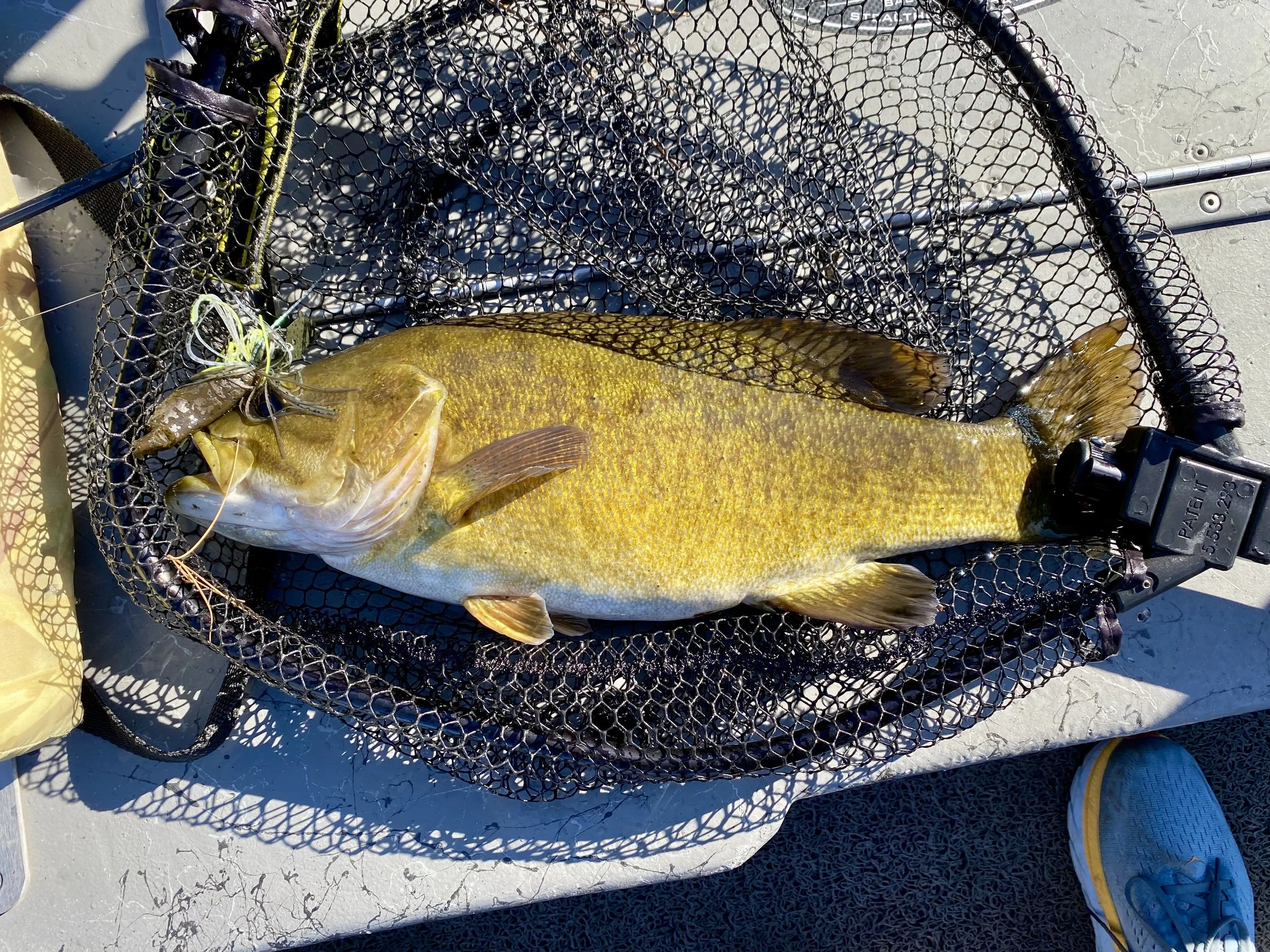 NORTHFISH Angling | Guided Trophy Smallmouth Bass Fishing | Upper Mississippi River Smallmouth Bass | Crow Wing River Smallmouth Bass