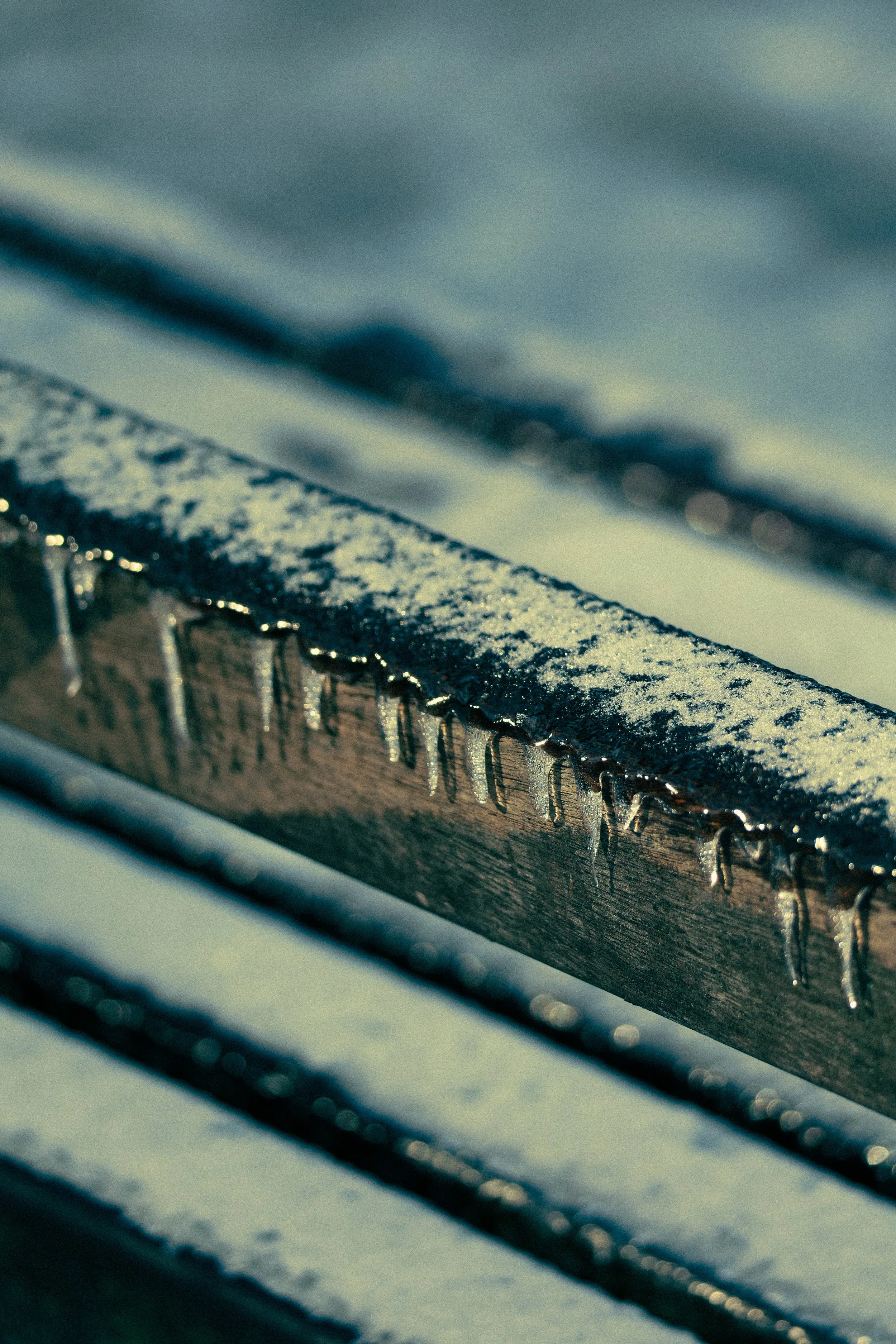 Close-up of a snow-dusted metal bench outdoors.