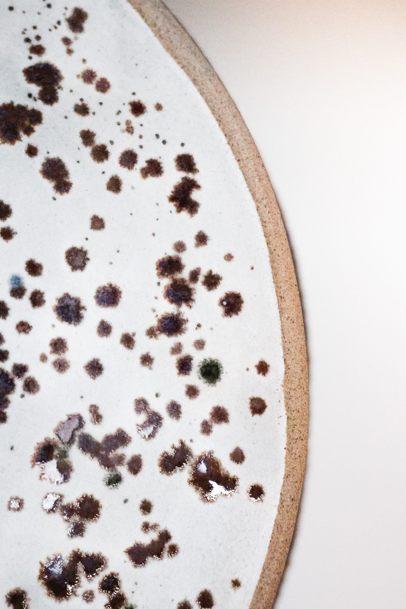 Close-up image of a dirty pizza plate with black and green mold spots.