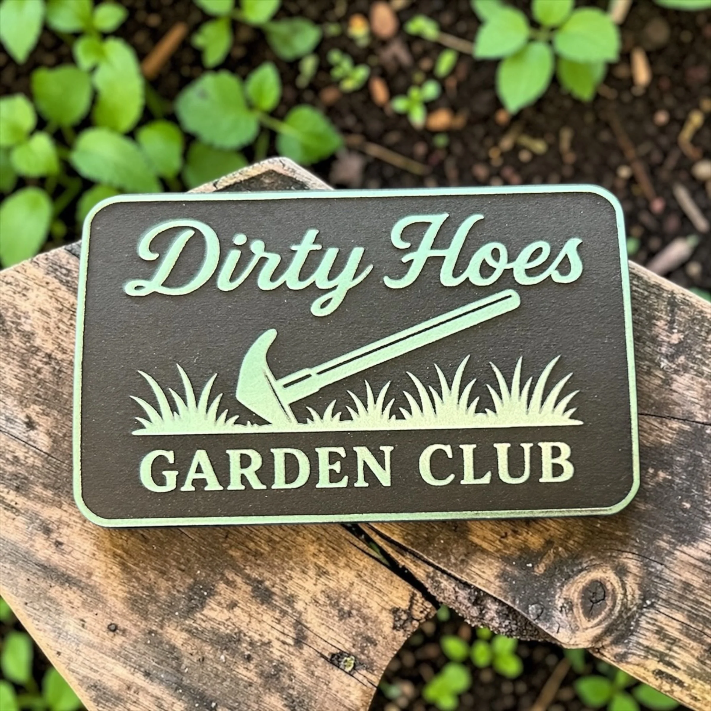 Dirty Hoes .JPG