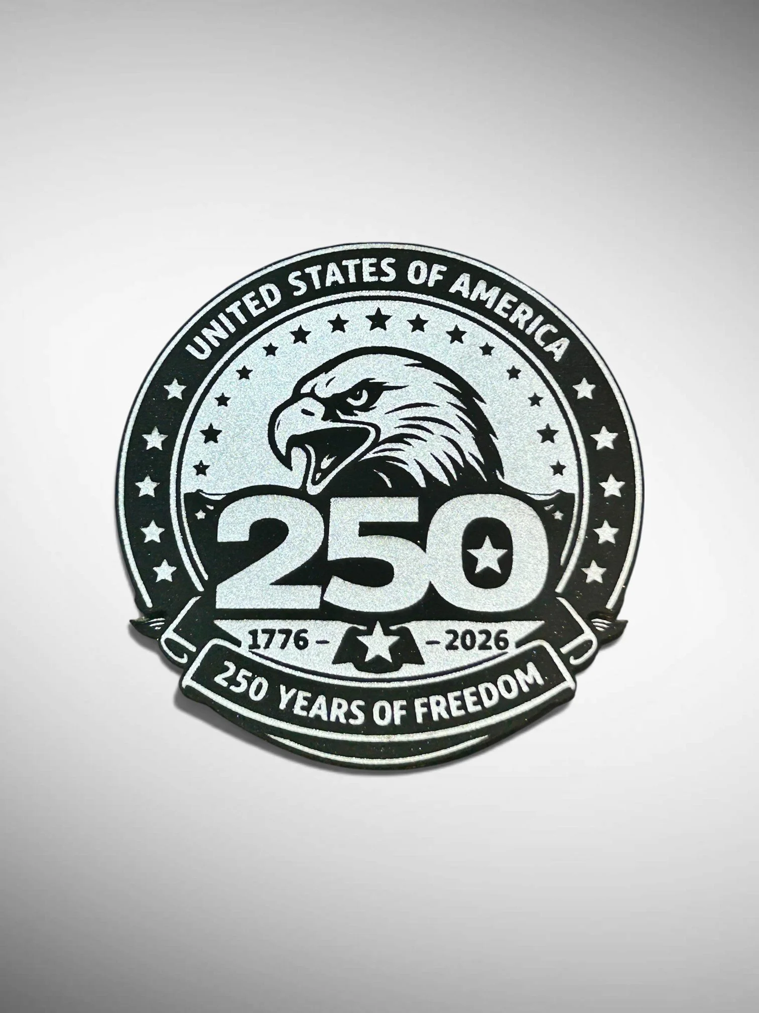 250 Year of Freddom Silver.jpg