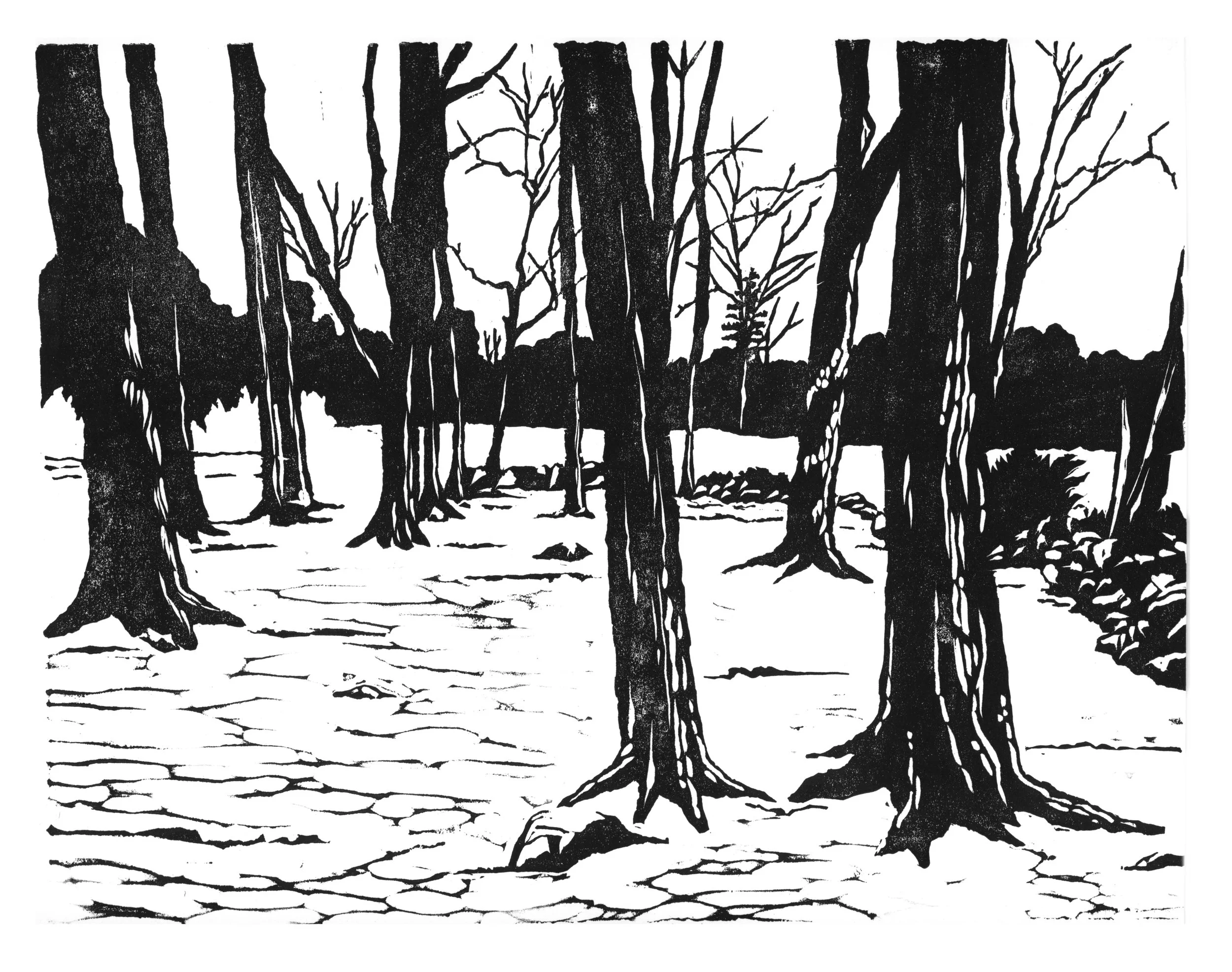 "Schoolhouse Woods" Black & White