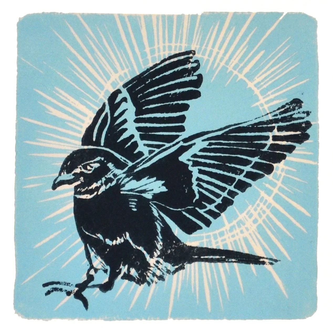 Sun Bird Small Print