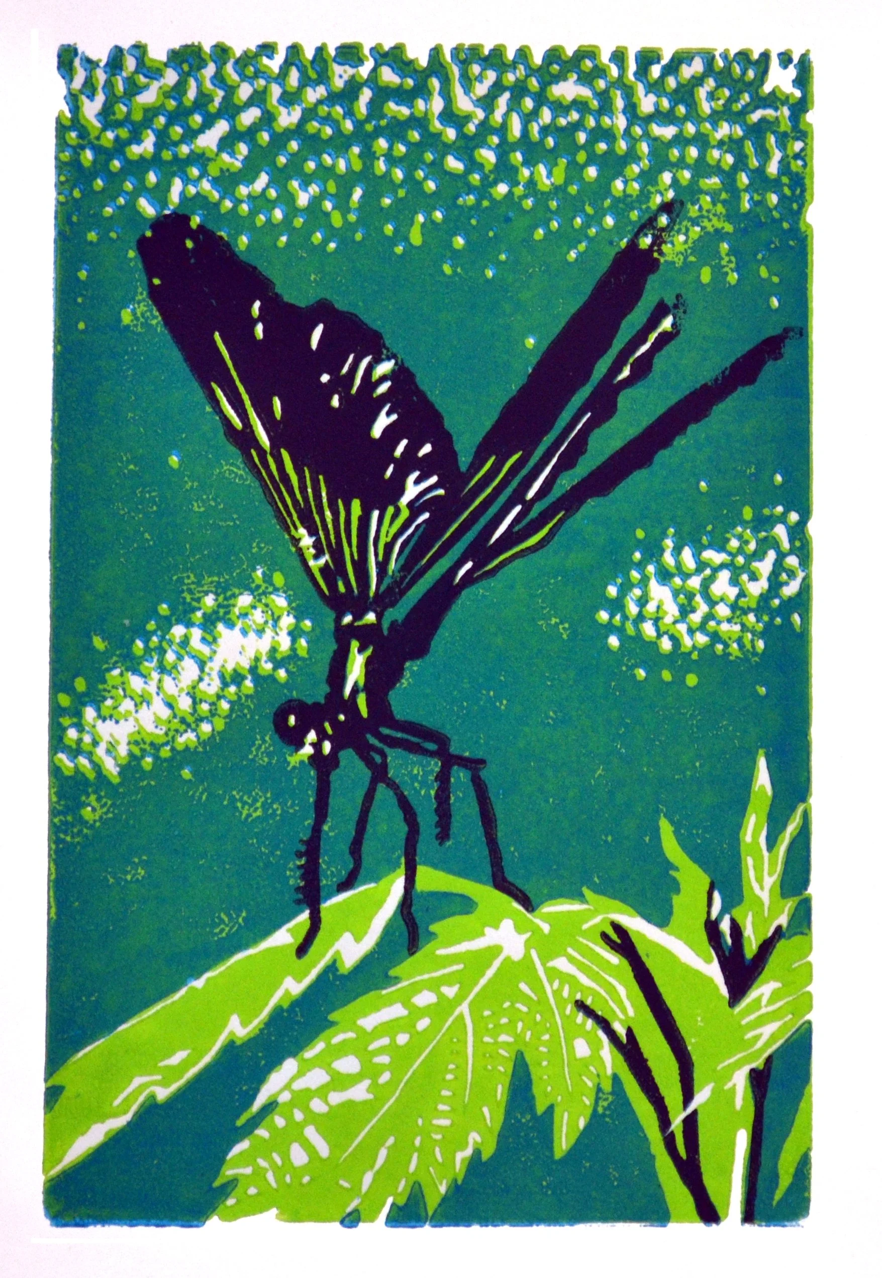 Dragonfly Reduction Print