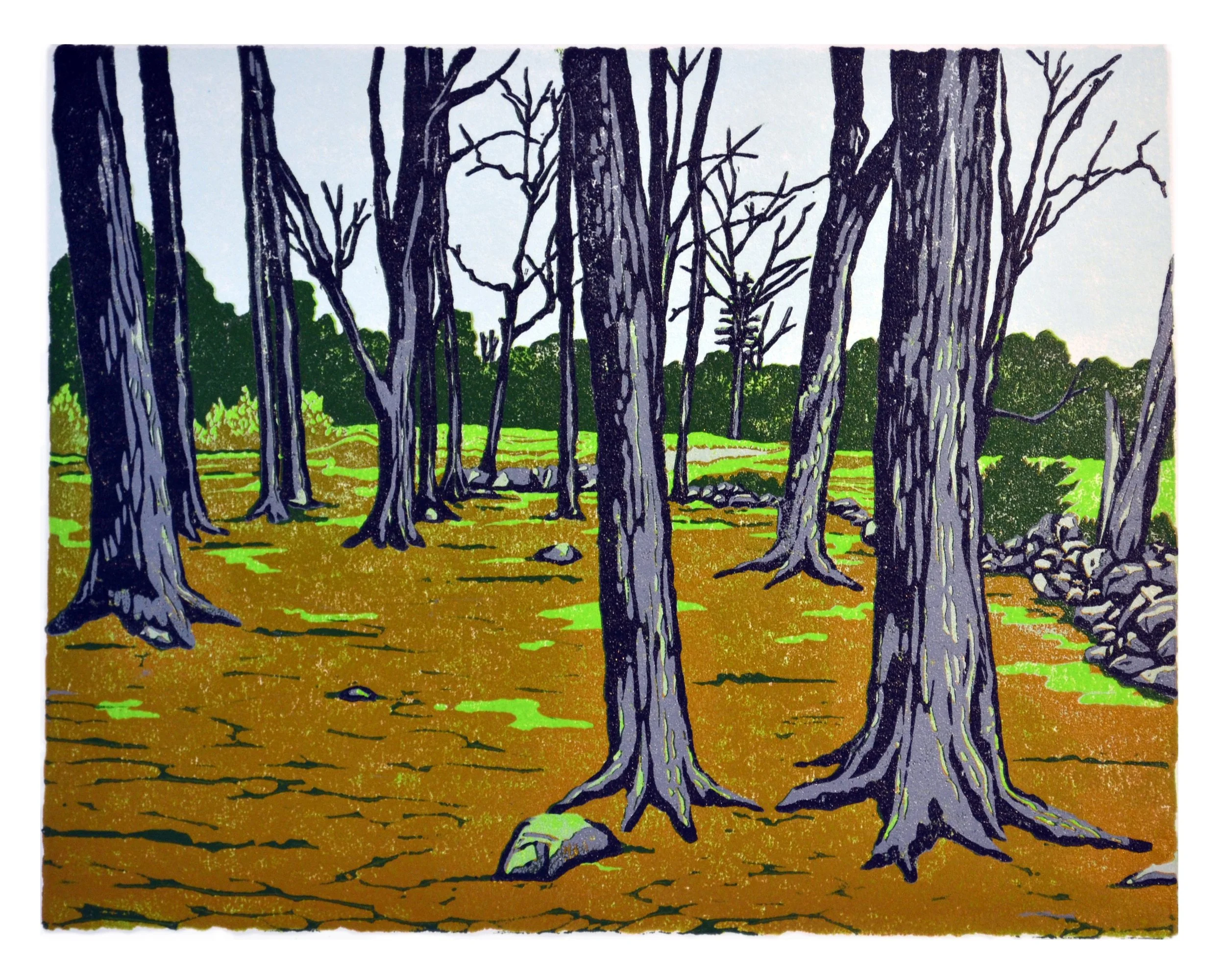 Schoolhouse Woods Reduction Print