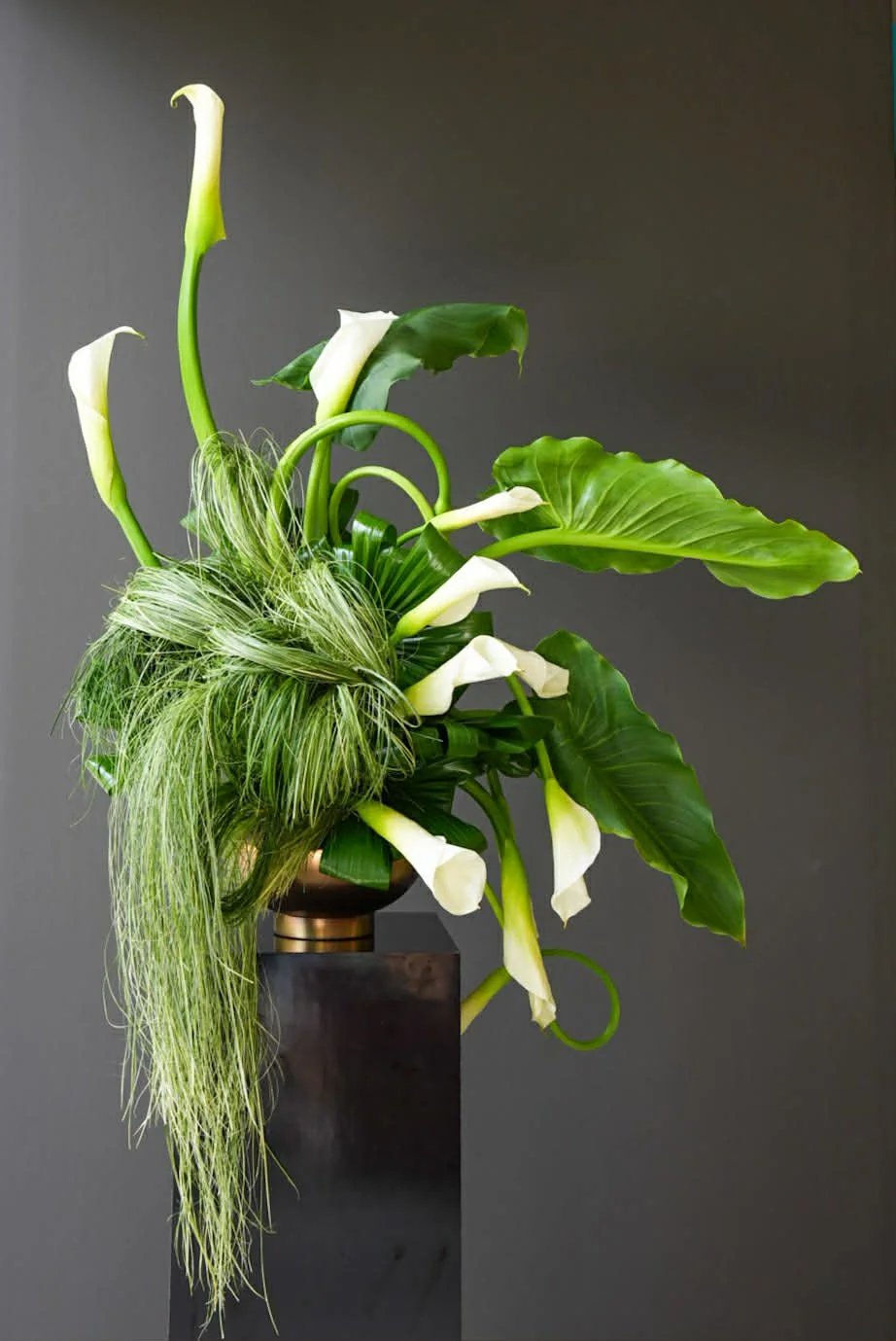 A floral arrangement of white calla lilies and green leaves in a dark vase against a gray background.