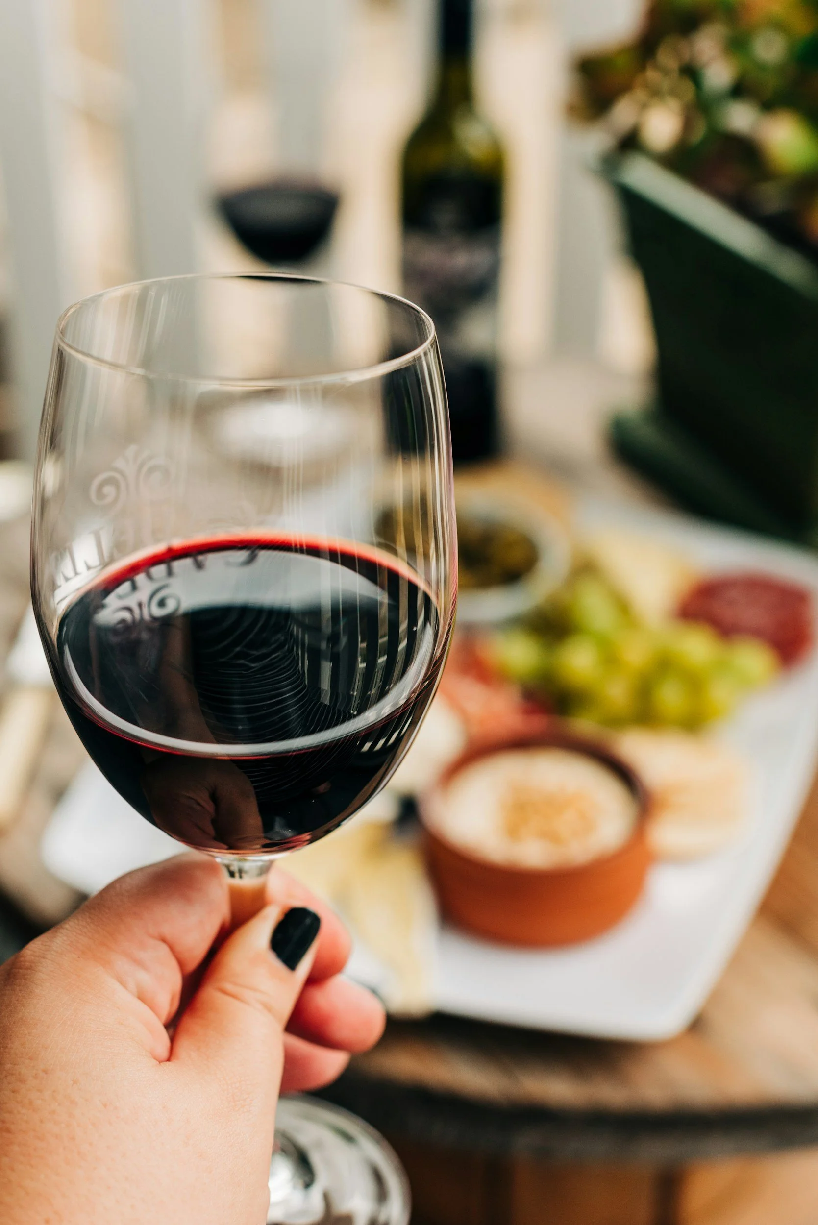 A hand holding a glass of red wine, with a blurred platter of cheese, grapes, and condiments in the background.