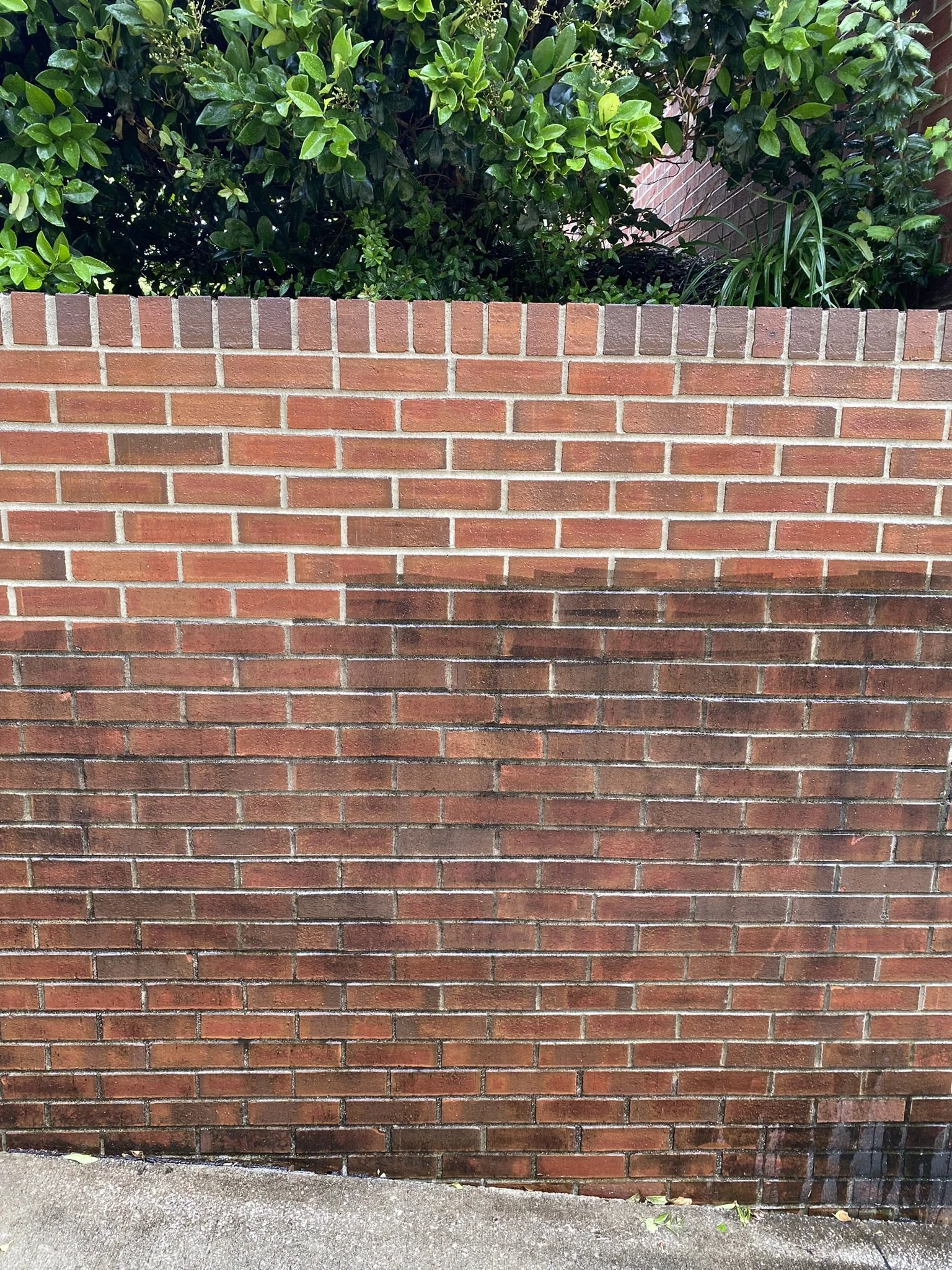 IMG_4241.JPEG