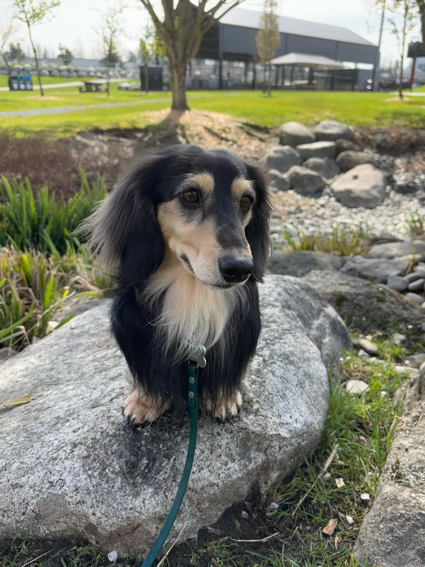 I feel like I share a lot to stories and then forget to share on the feed as well! Which do you prefer? Stories or feed posts? Got these cute pics of a smiley little boy on one of our recent walks. 🐾💚🍃