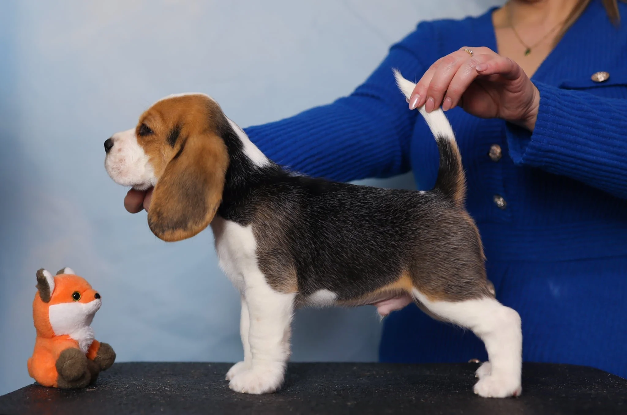 7 weeks old