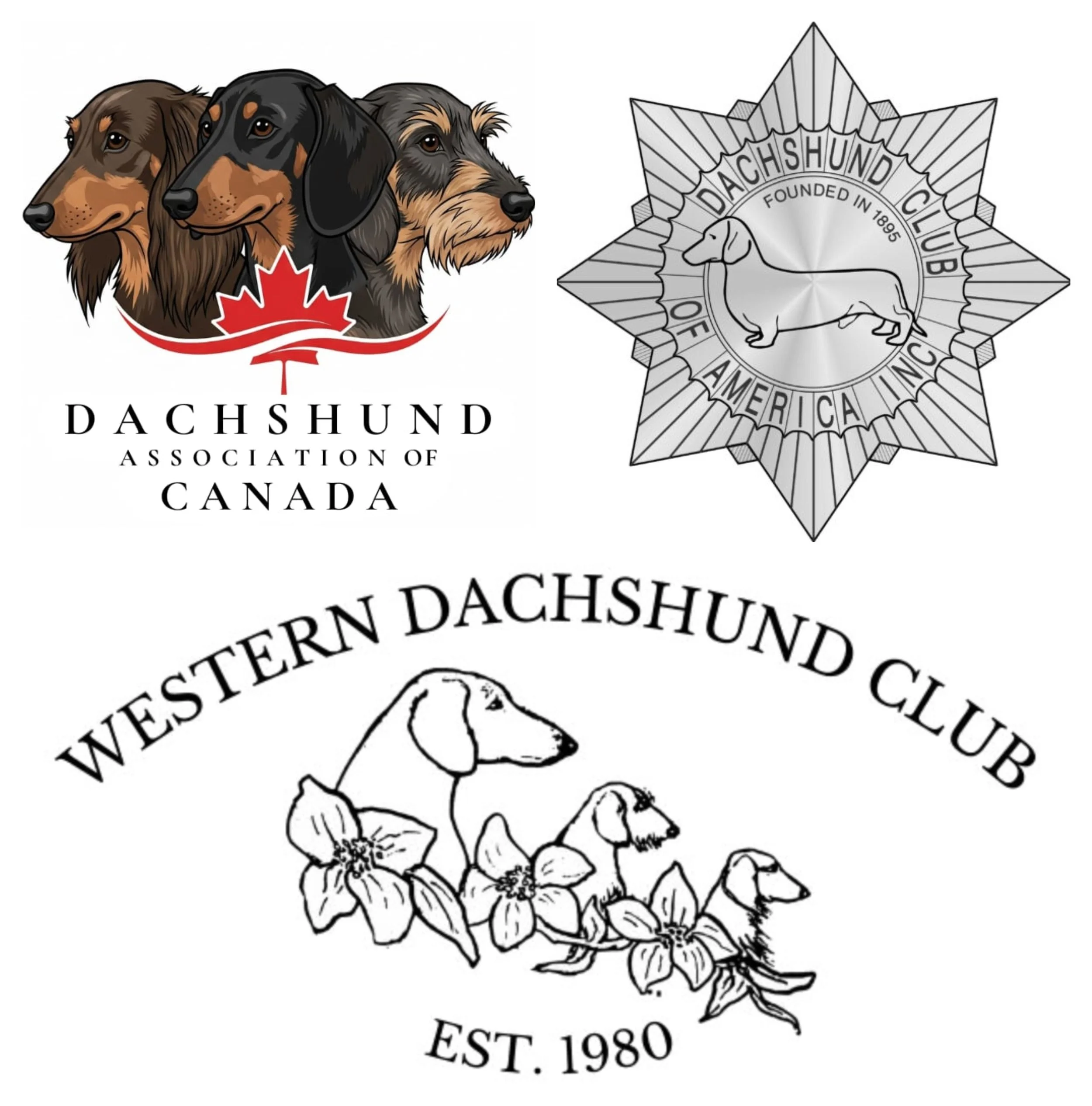 Dachshund Breed Club logos for the Westernn Dachshund Club, Dachshund Association of Canada, and the Dachshund Club of America