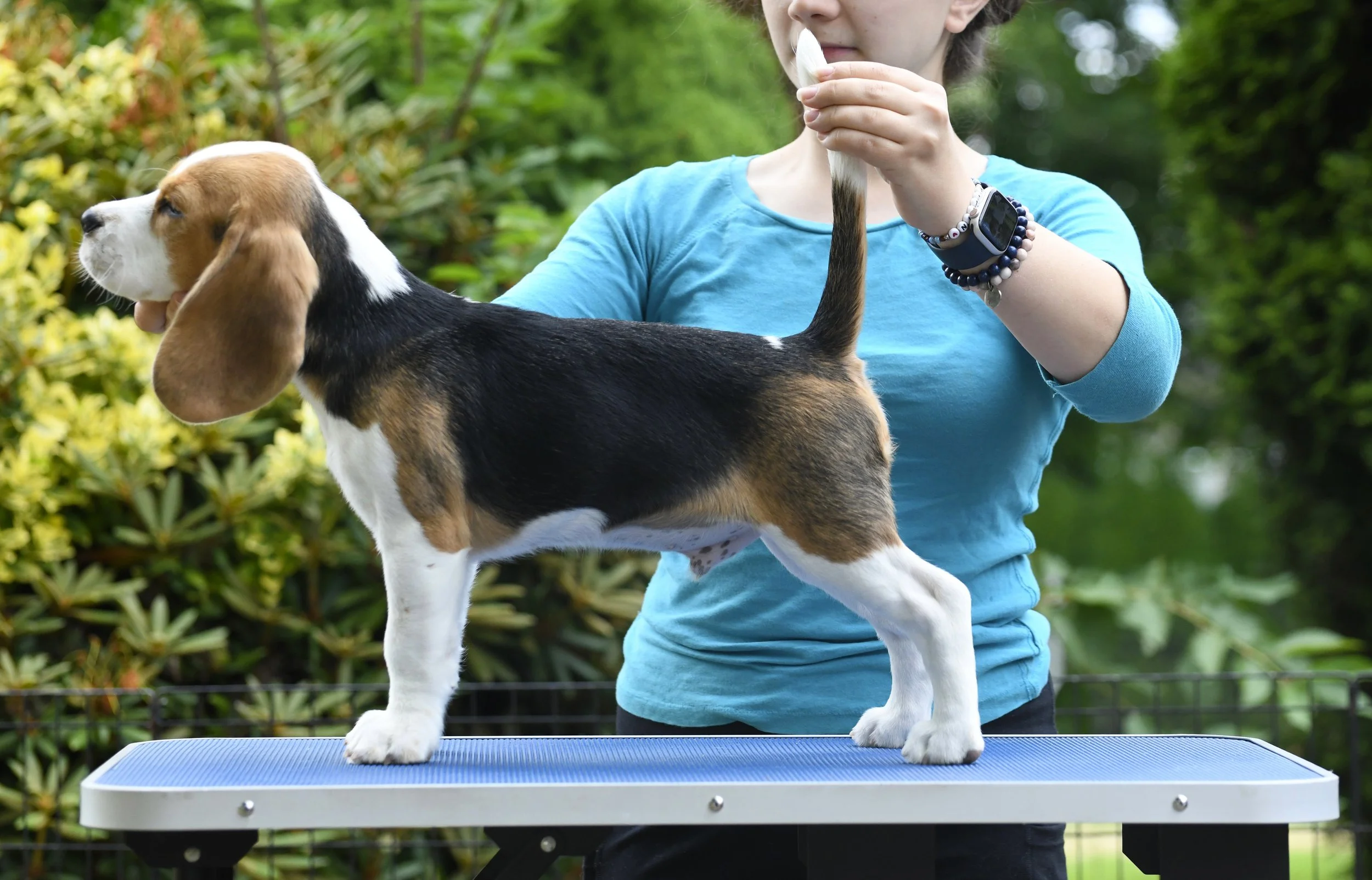 13 weeks old