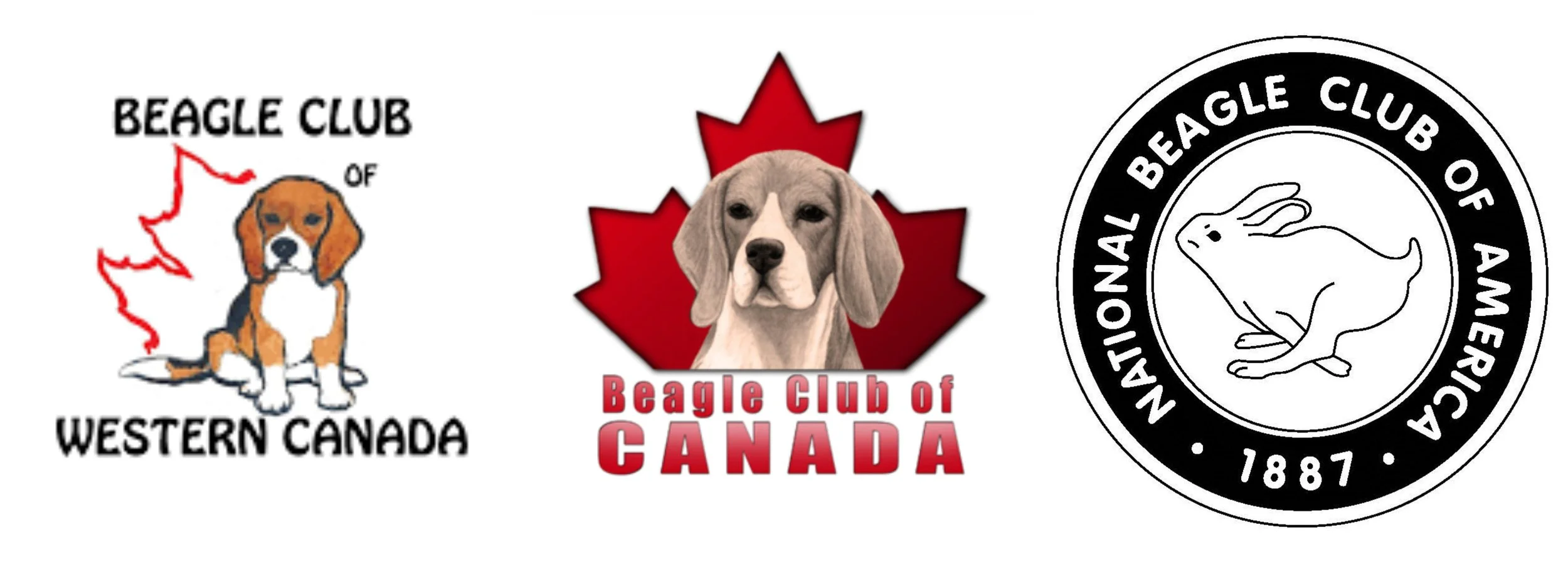 Breed club logos for the Beagle Club of Western Canada, Beagle Club of Canada, and the National Beagle Club of America