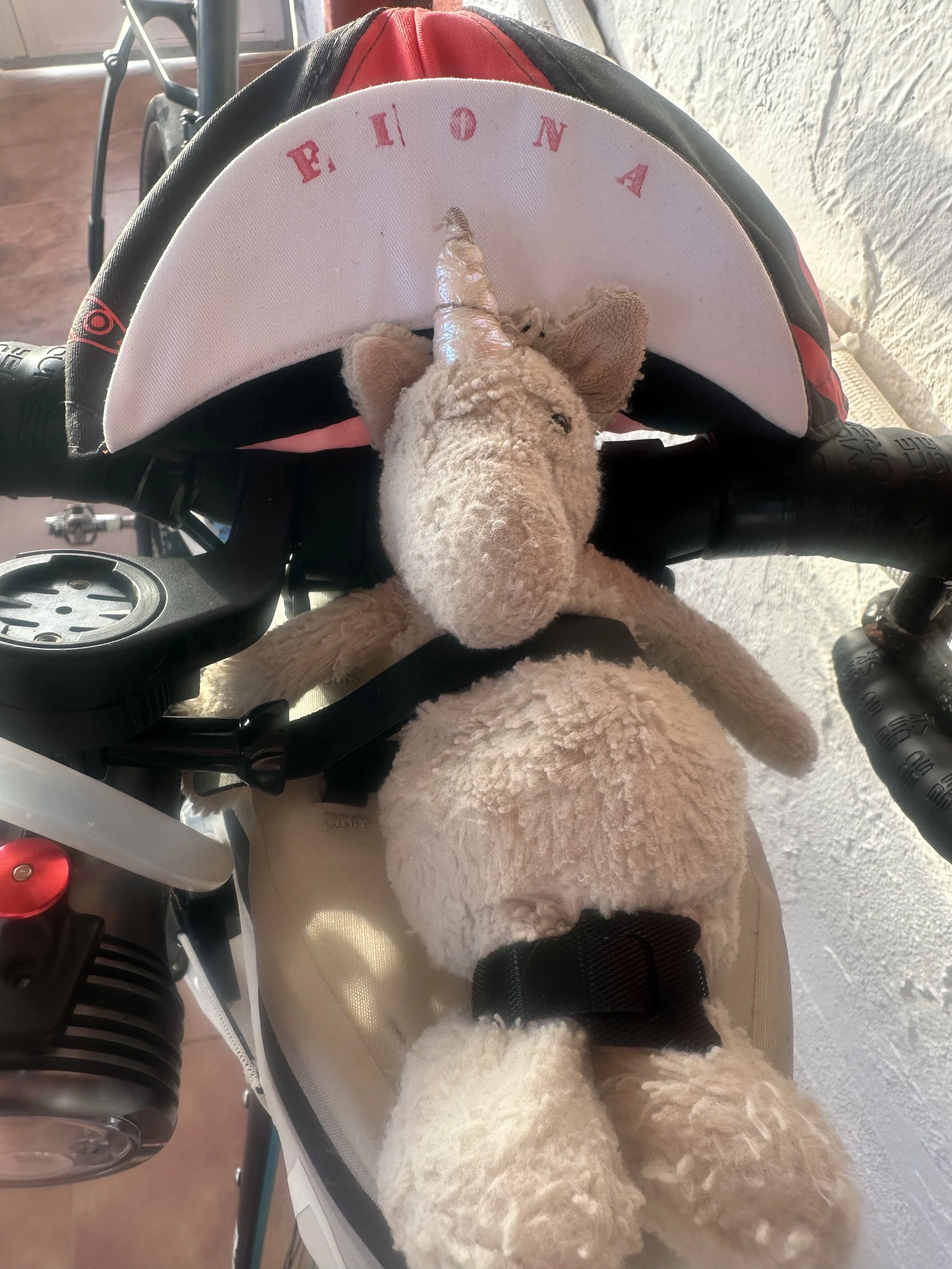 VIA Race 2024 - A Rookie’s Account