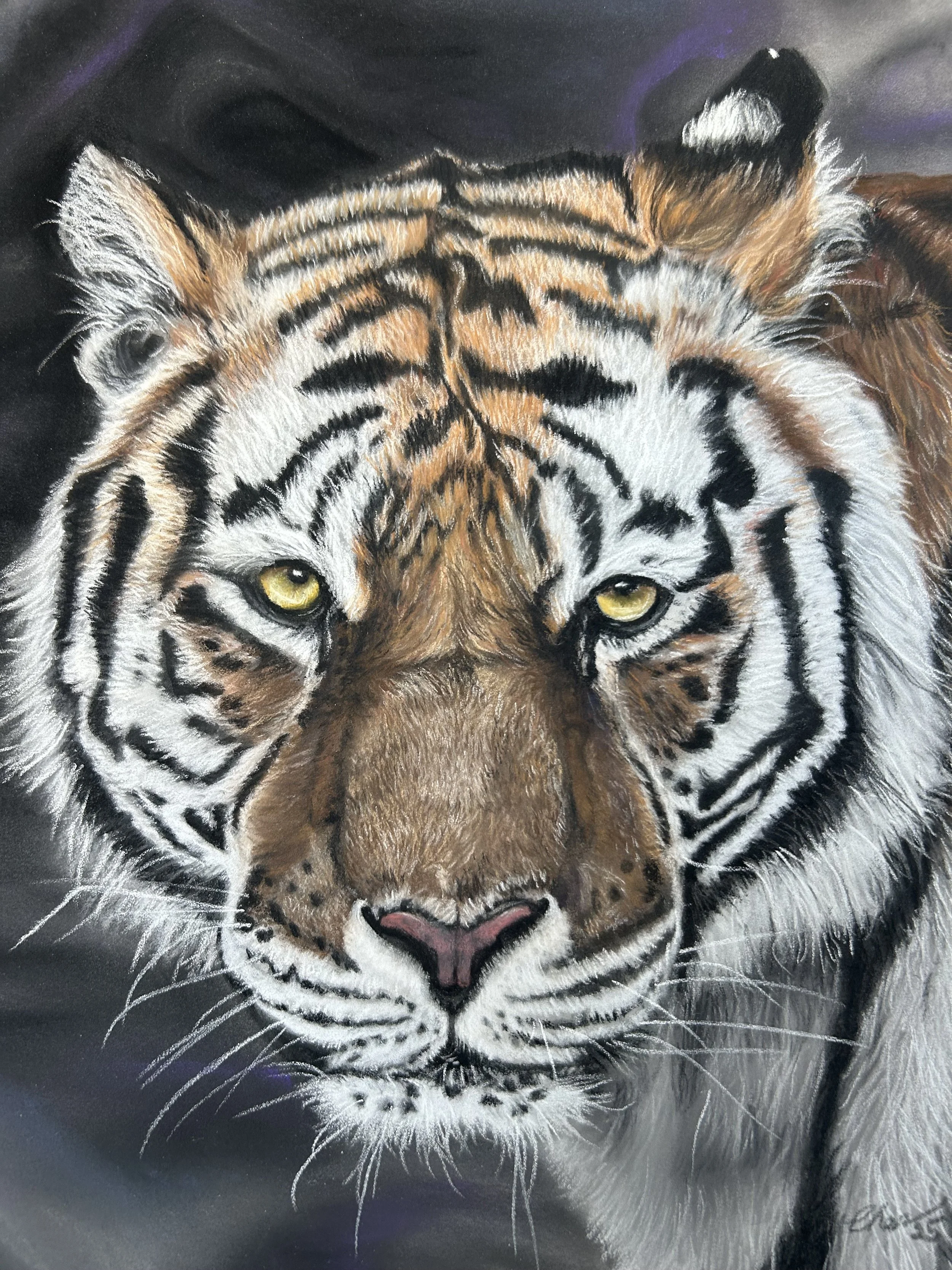 Tiger Head Print
