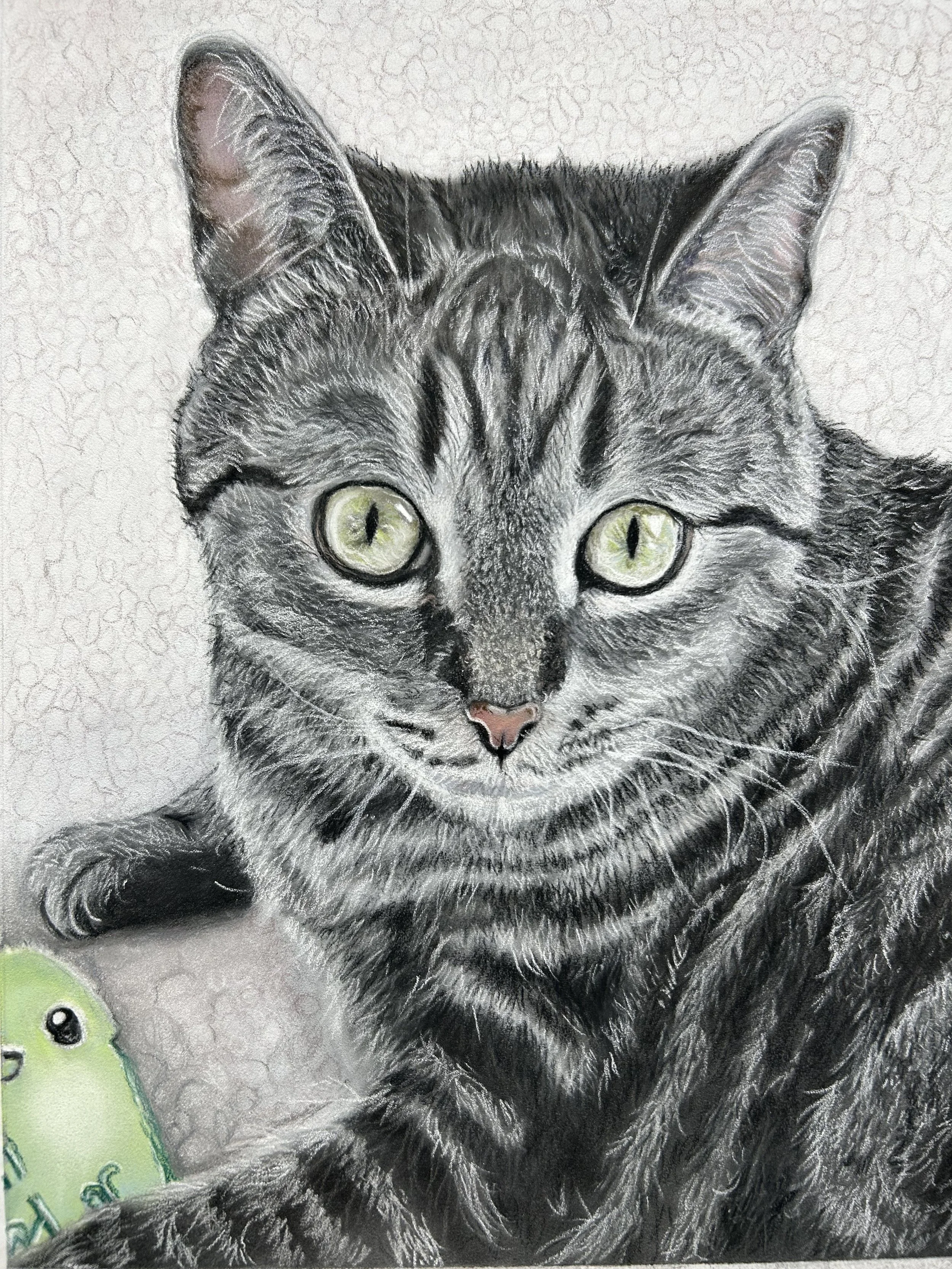Detailed sketch of a gray tabby cat with green eyes lying on a light surface, with part of a green toy in the lower left corner.