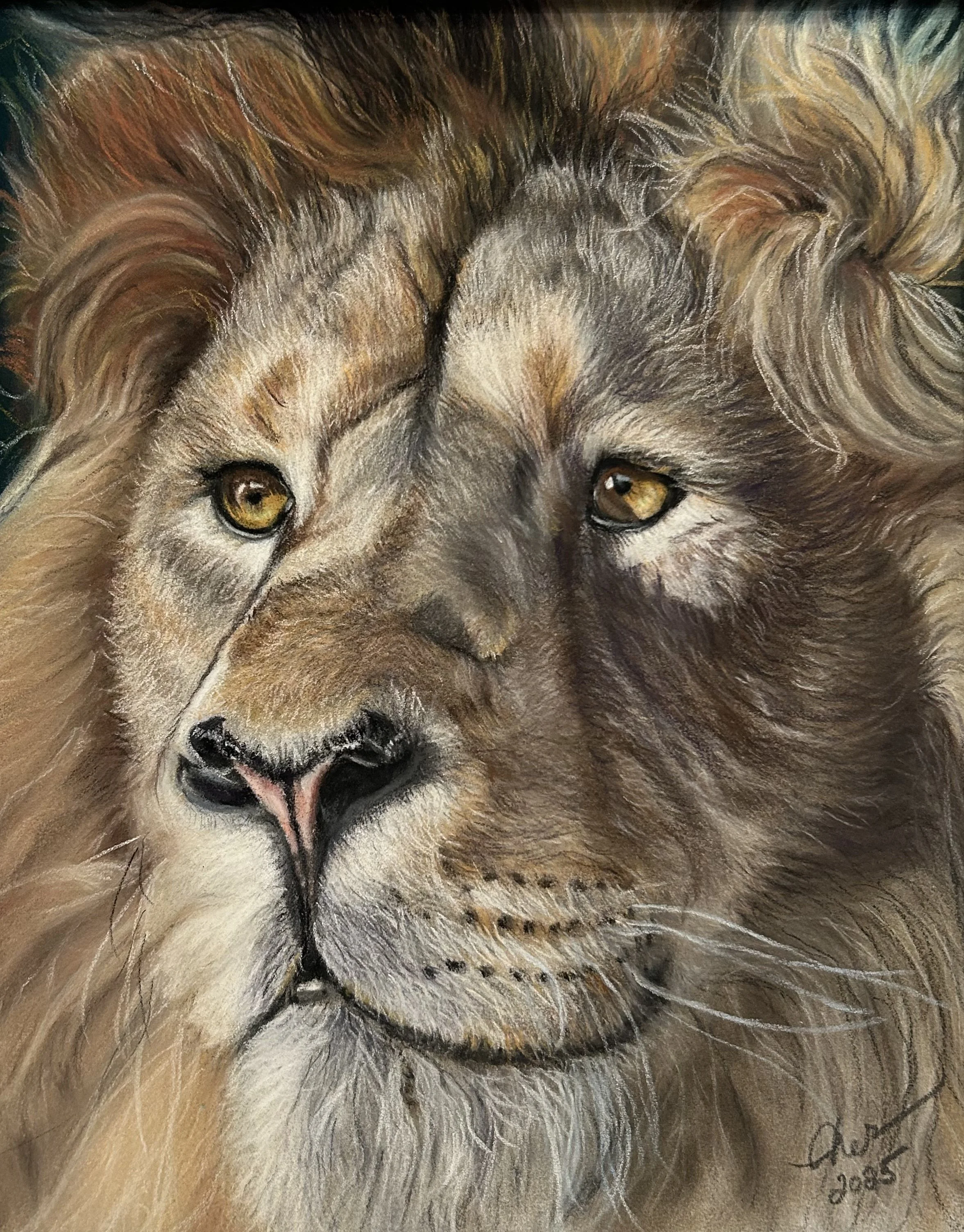 Lion Head Original