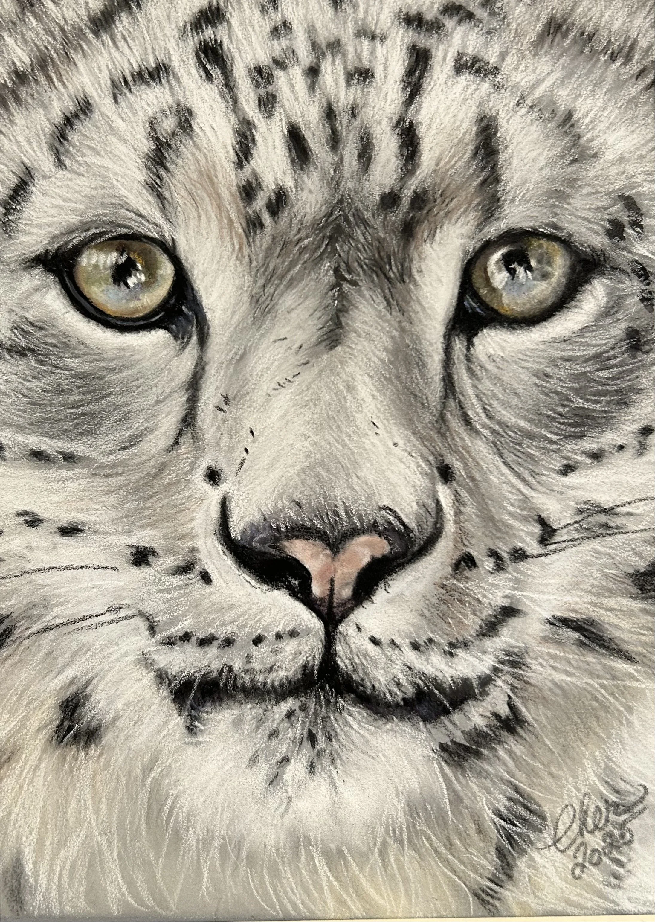 Snow Leopard Close up Original