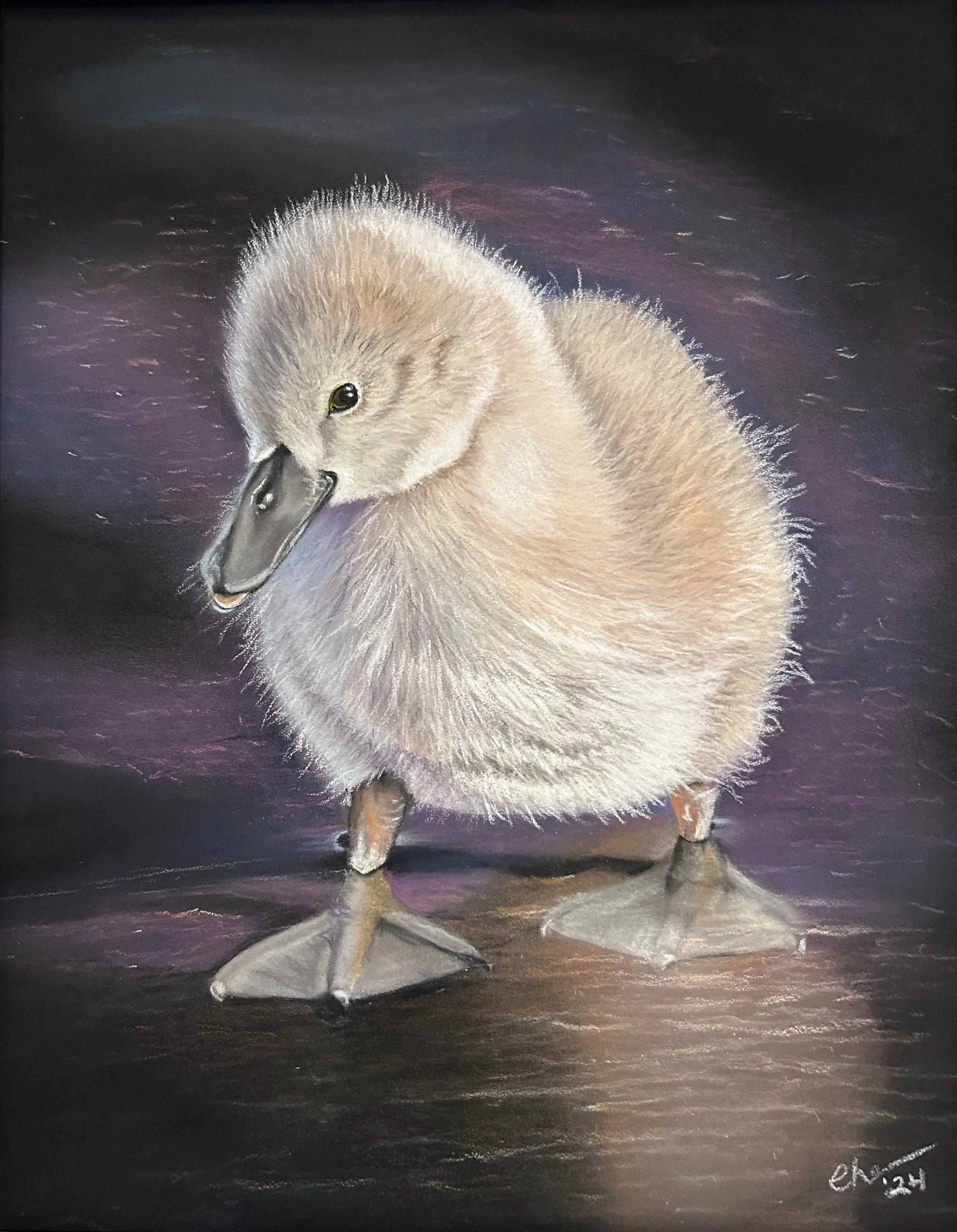 Baby Swan Original Pastel painting