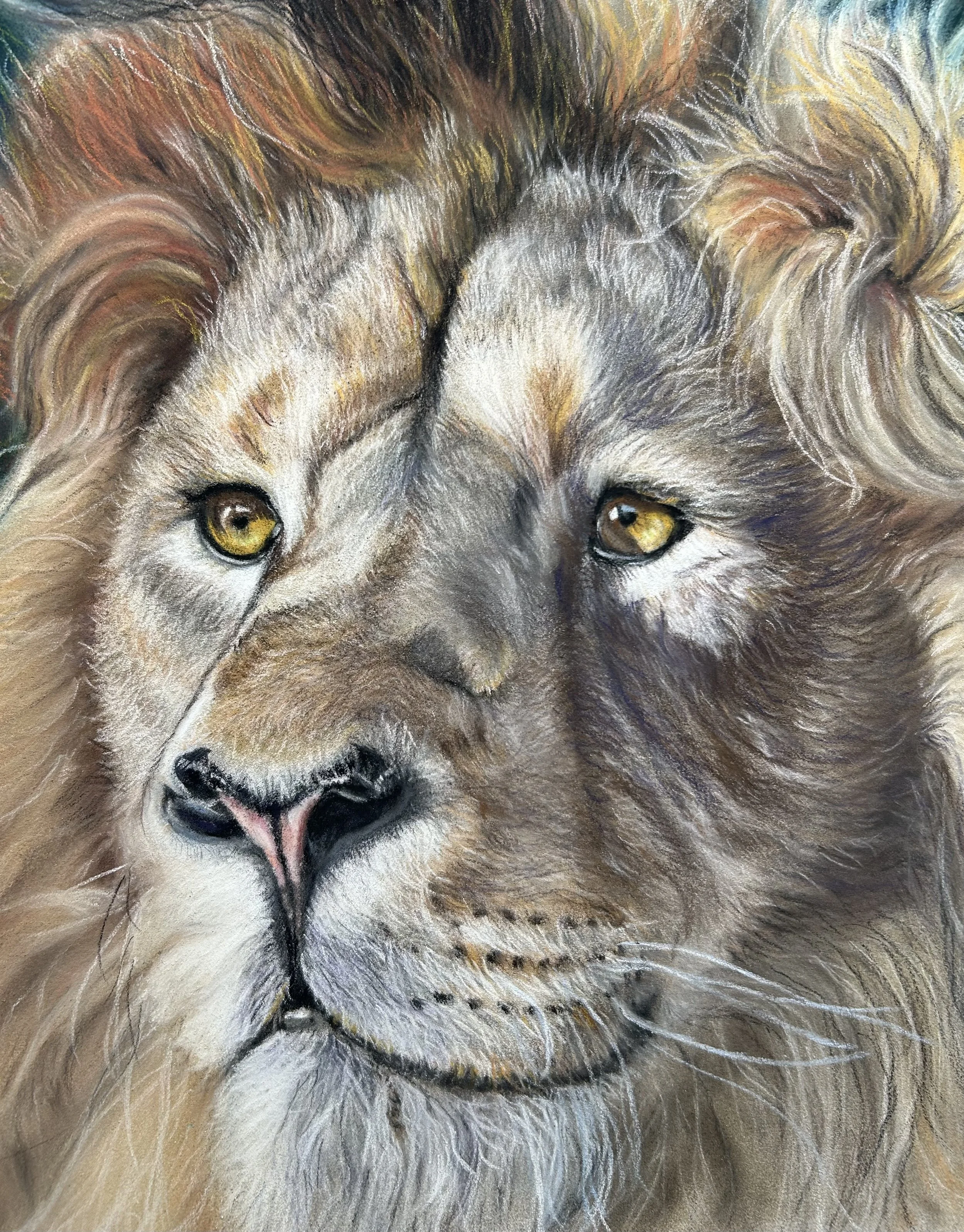 Lion Head Print
