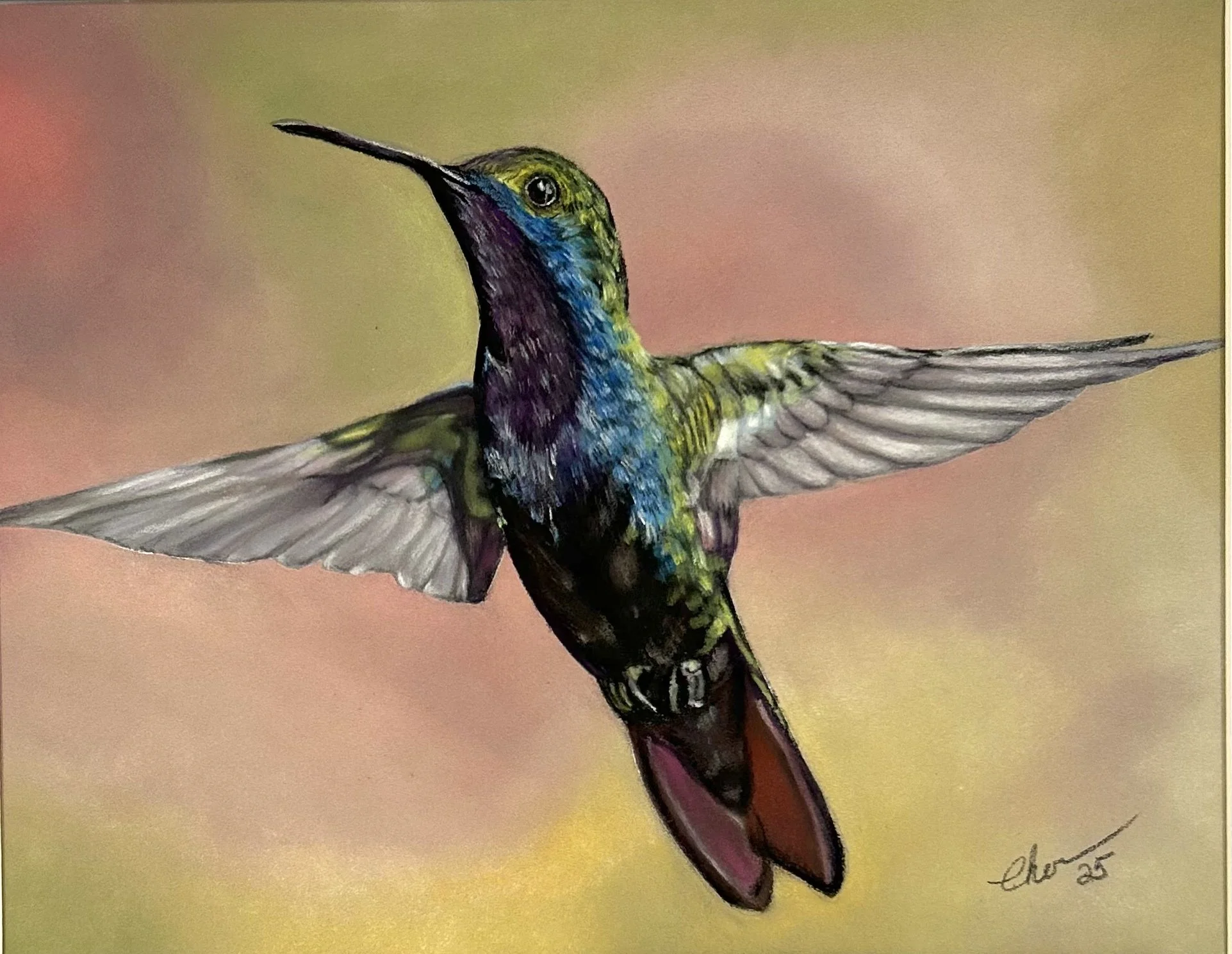 Hummingbird in flight Original