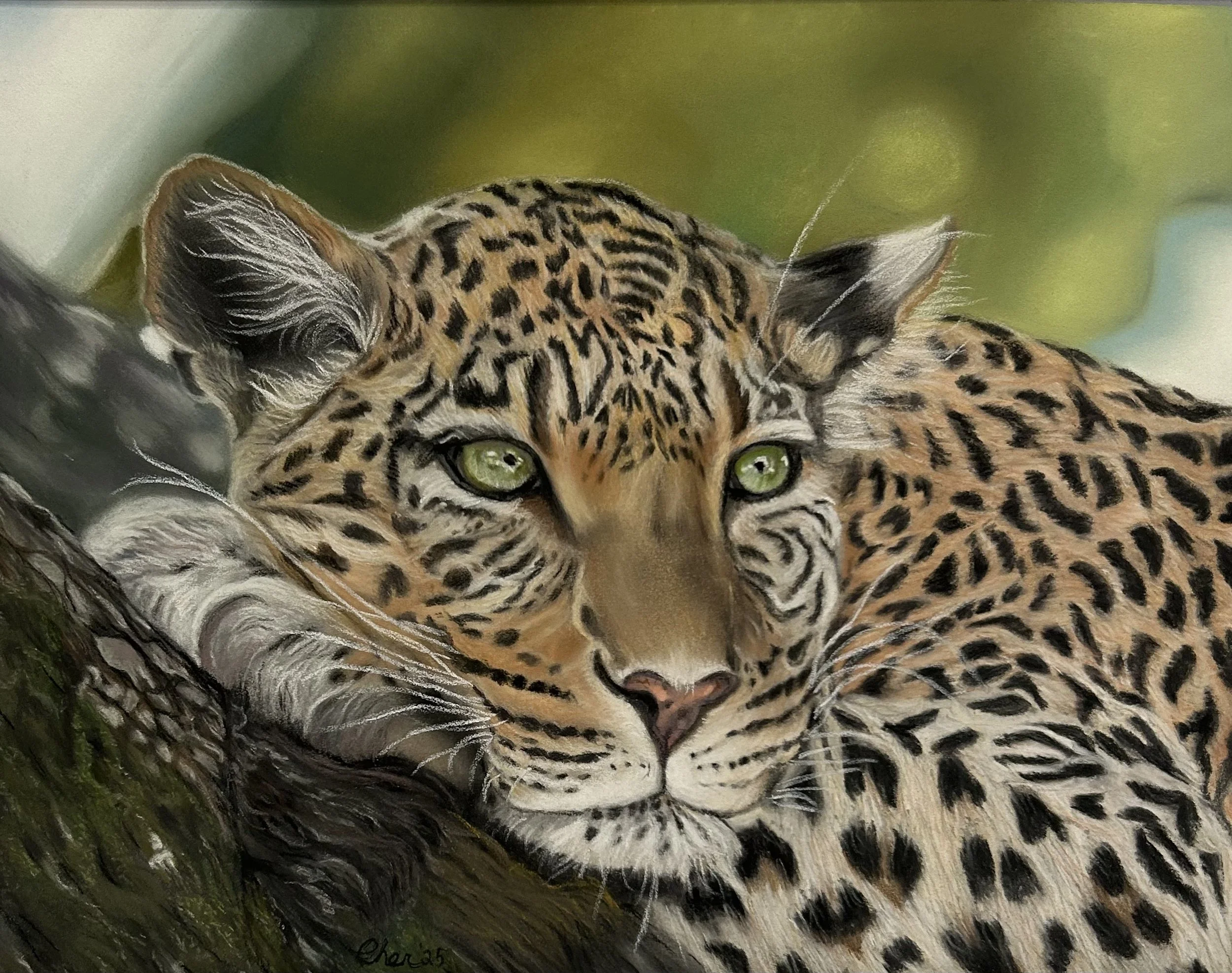 Resting Leopard Original