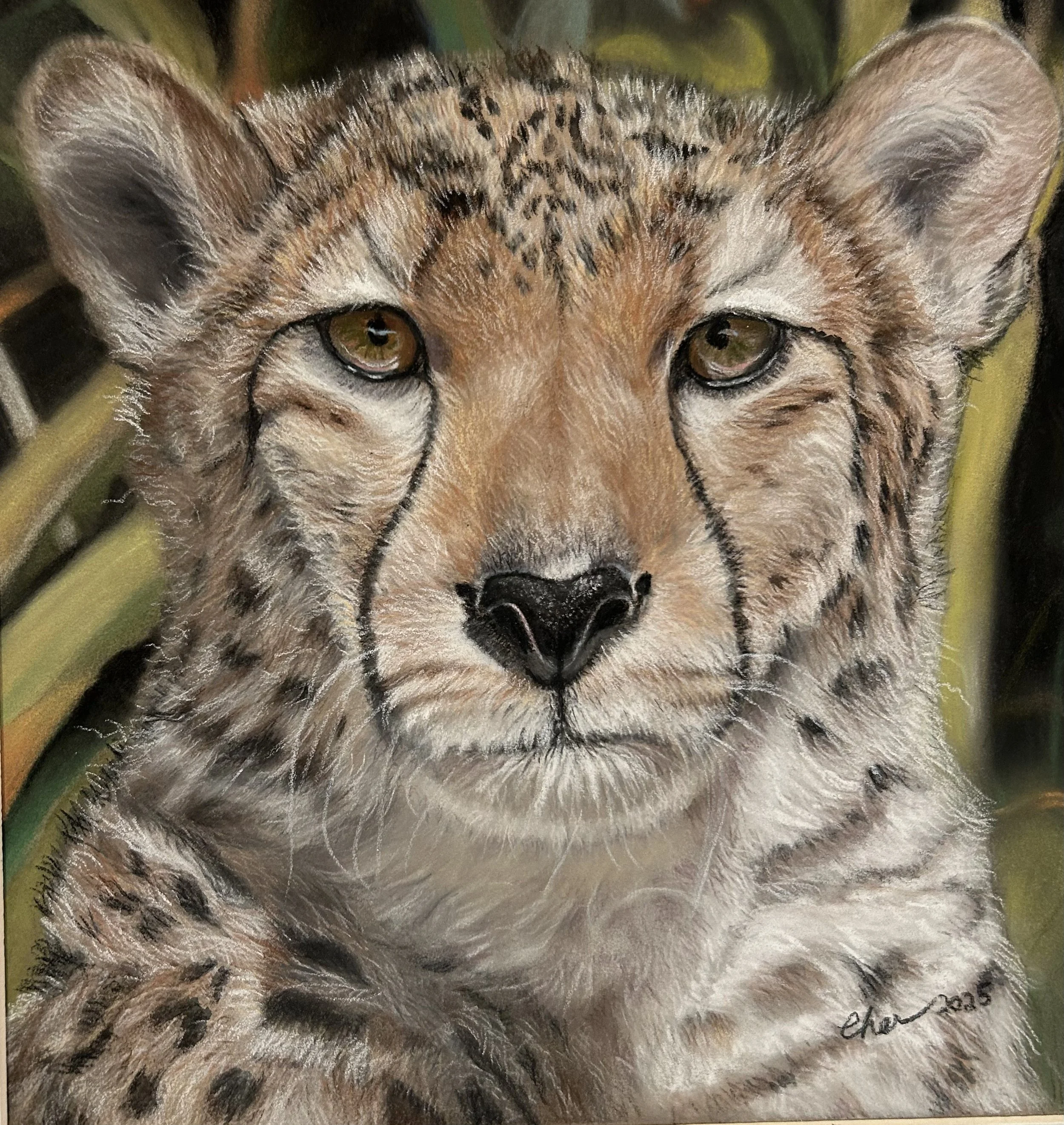 Cheetah Face Print