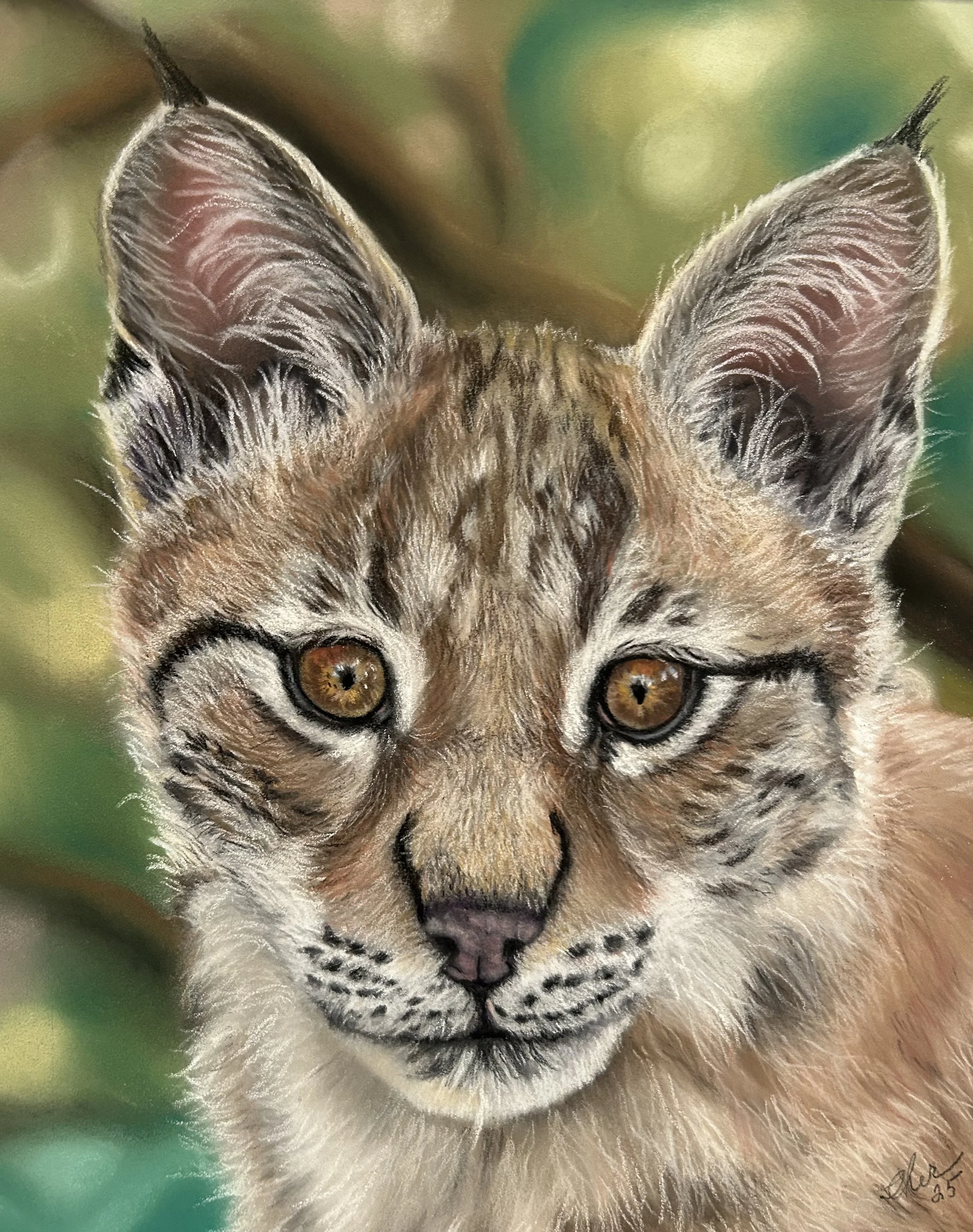 Lynx Cub Original