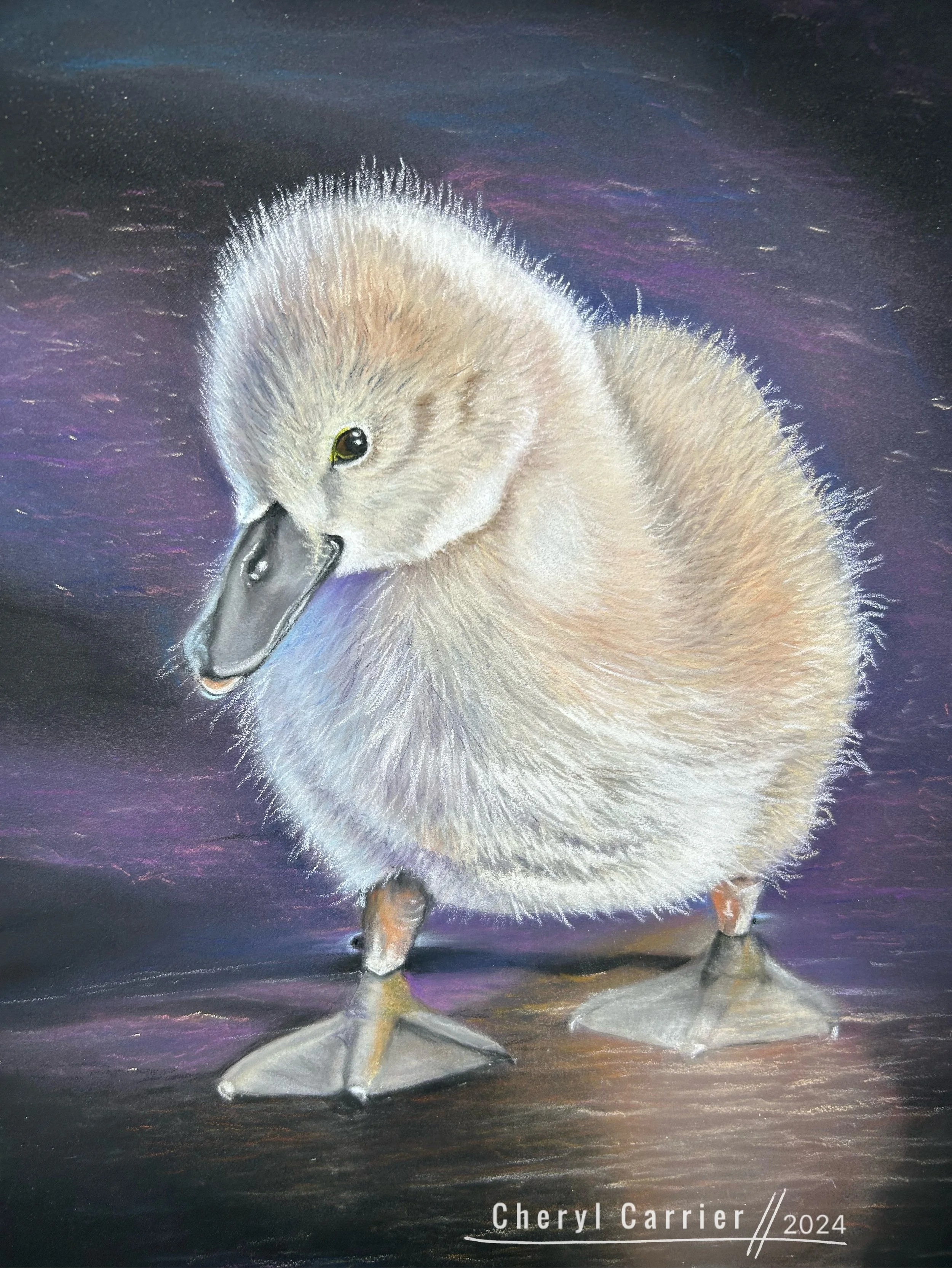 A realistic painting of a fluffy baby duckling with a dark background.
