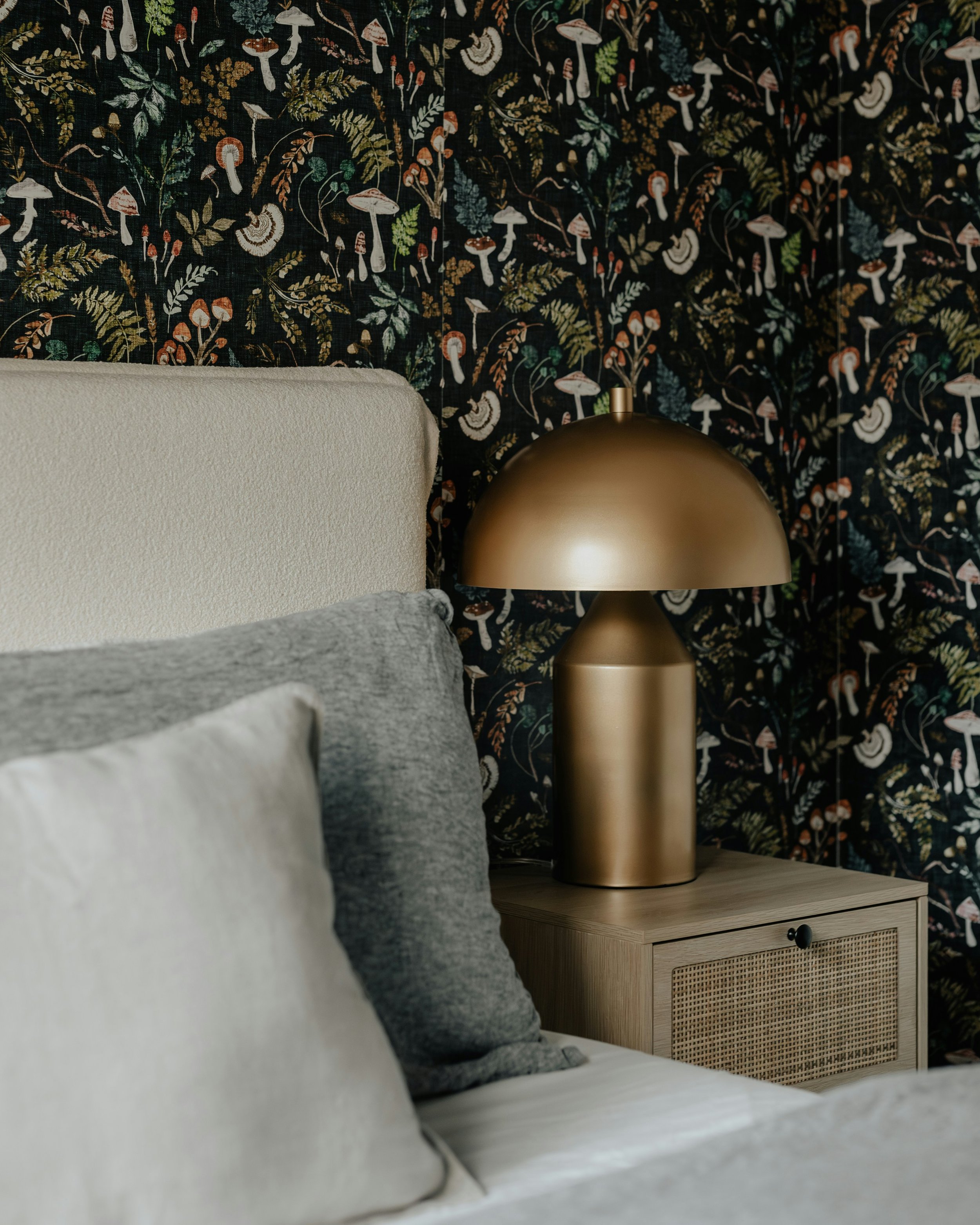 The Sortistry Foundation Package