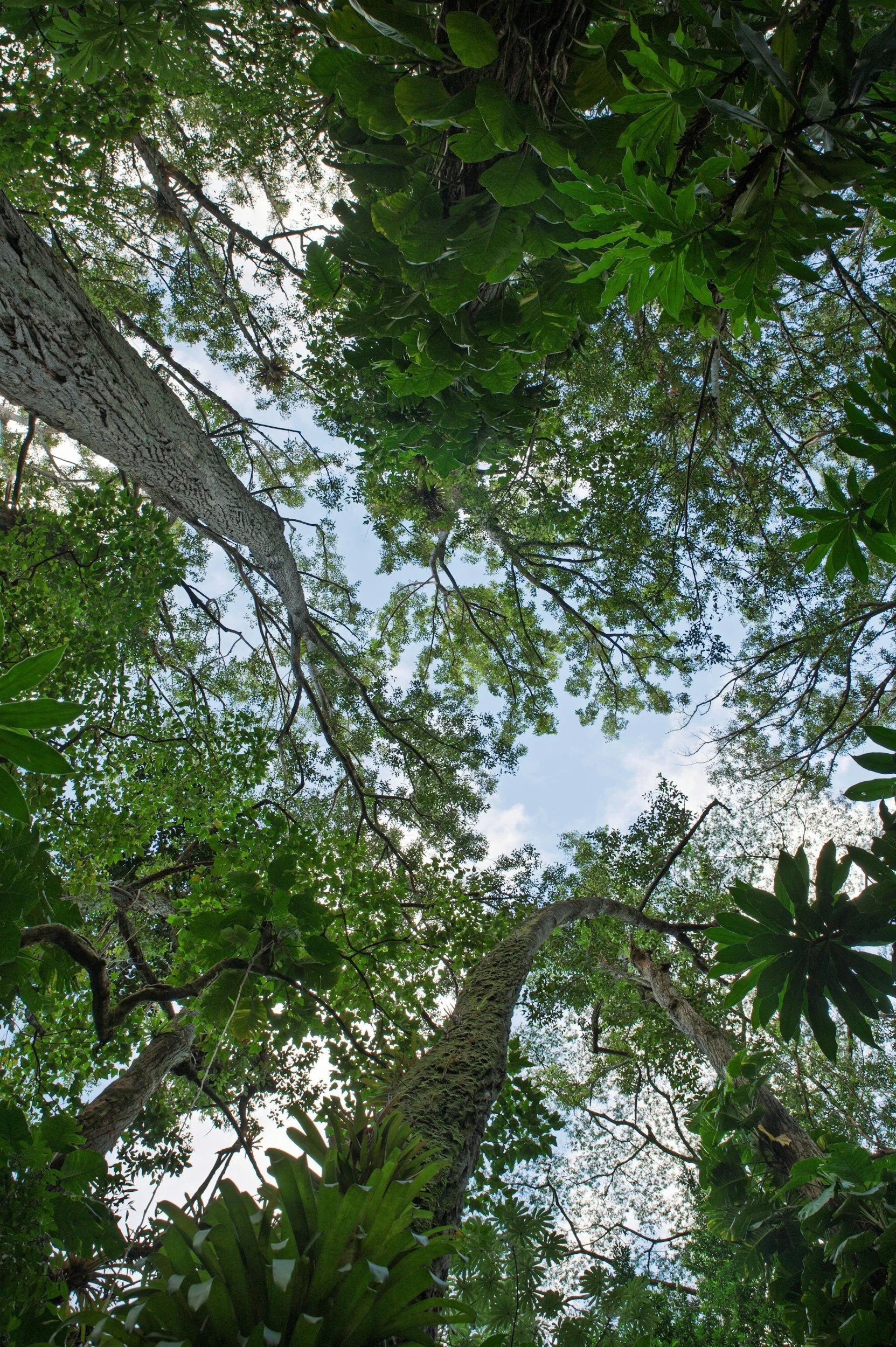 regulatory ecosystem