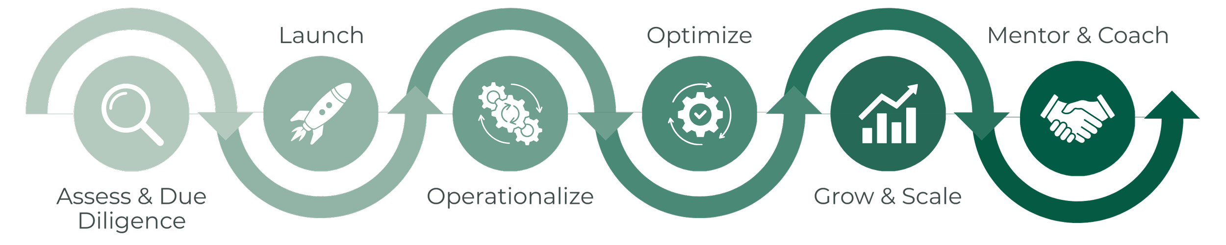 A circular infographic illustrating a business growth process with seven stages: Assess & Due Diligence, Launch, Operationalize, Optimize, Grow & Scale, Mentor & Coach, and continuous improvement.