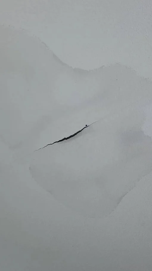 Can a Roof Leak Be Repaired, or Does the Whole Roof Need to be Replaced?