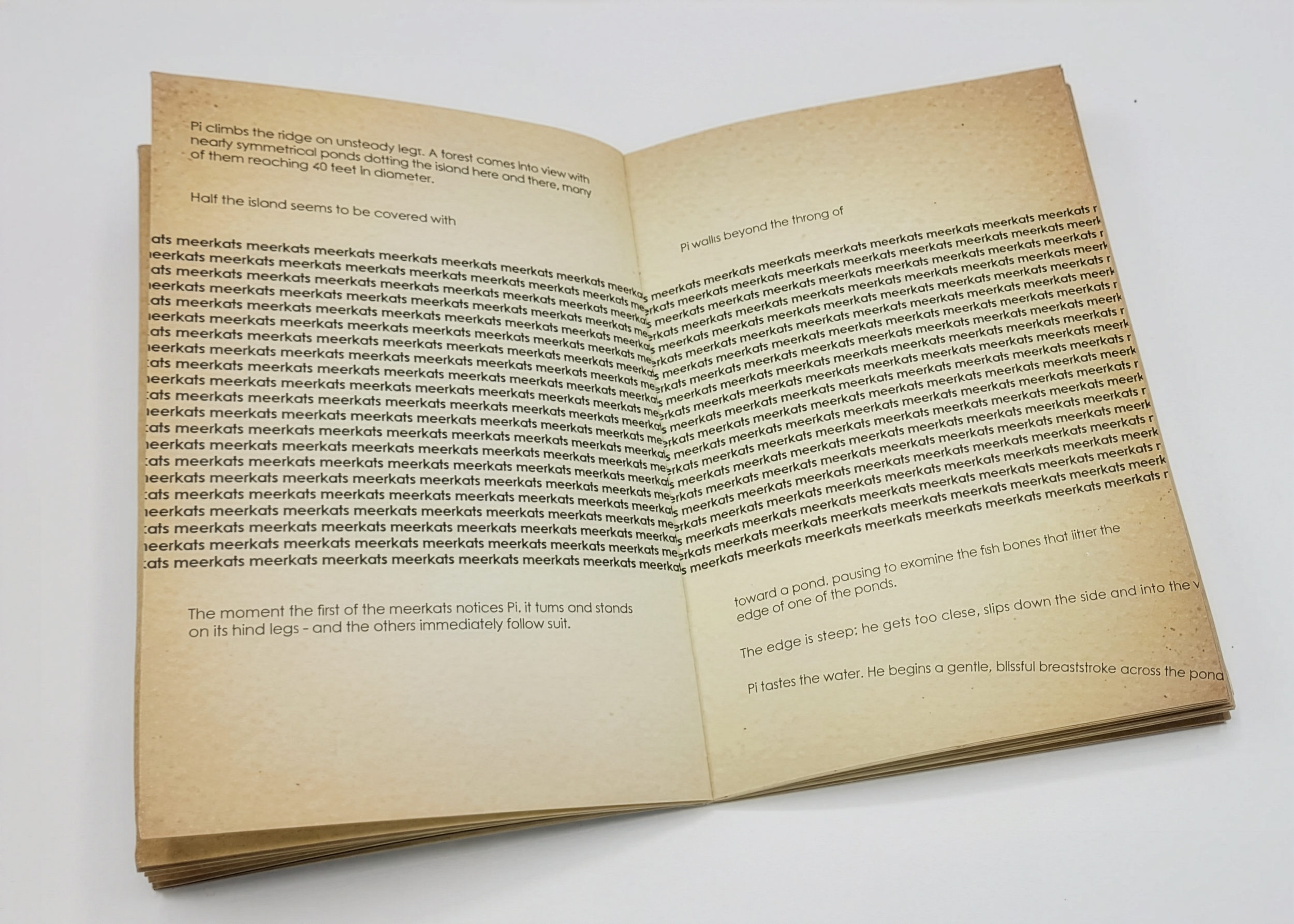 20241112_121401 Firefly Upscaler 2x scale.png