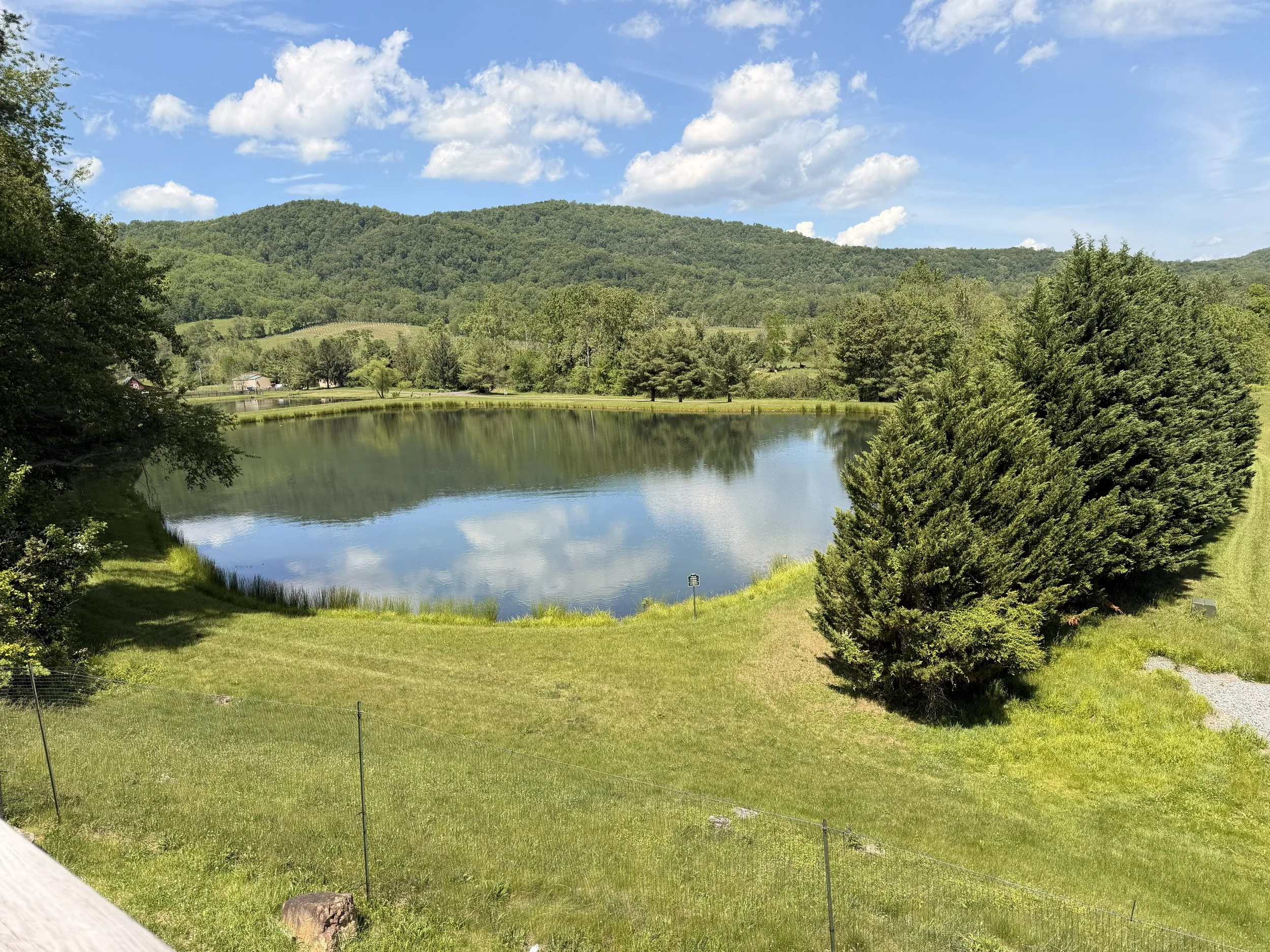 Scenic view of a lake surrounded by lush green trees and rolling hills under a blue sky with scattered white clouds.
