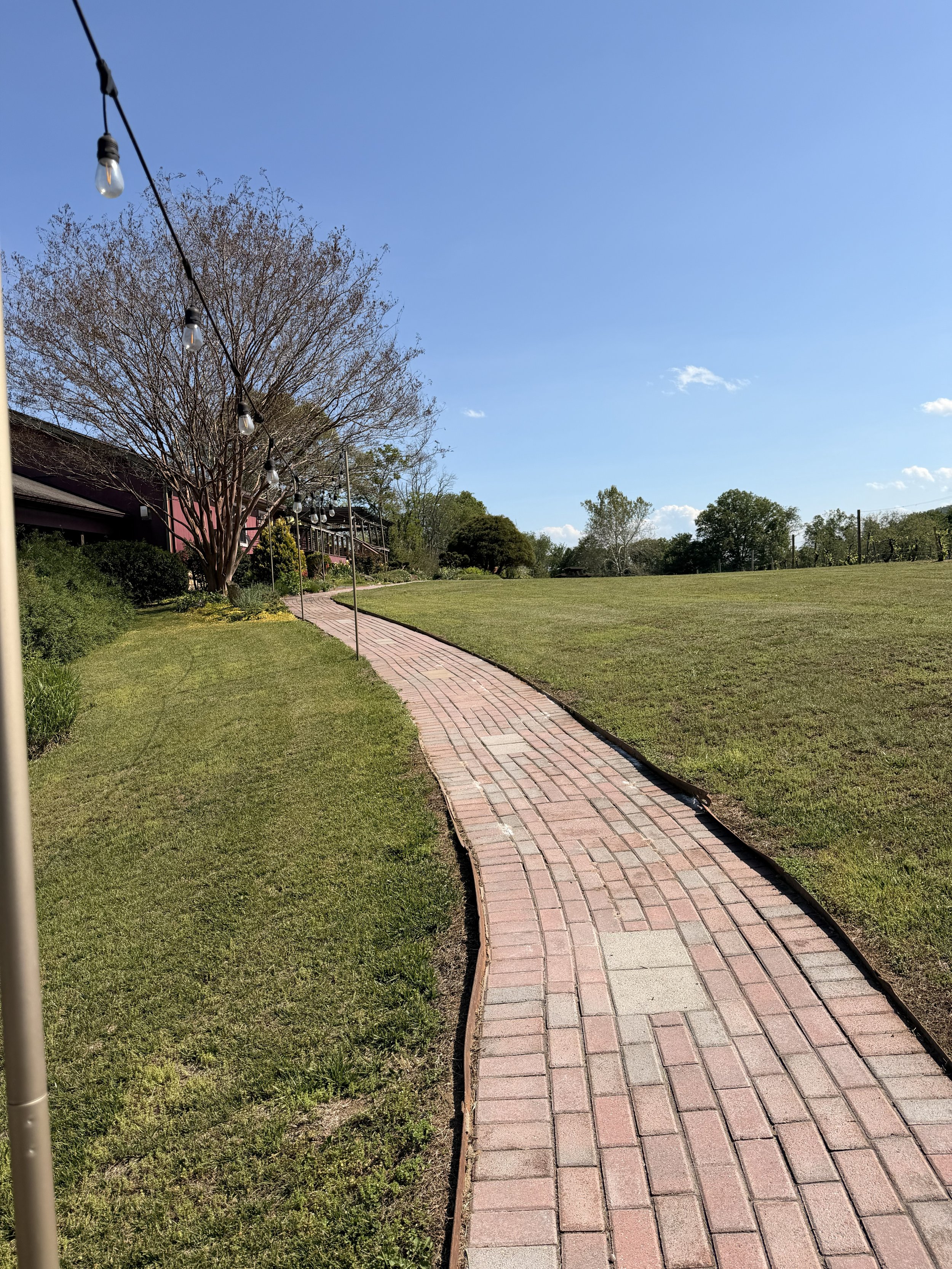 A brick pathway winding through a grassy yard under a clear blue sky, with trees and a house visible in the background, and string lights hanging overhead.