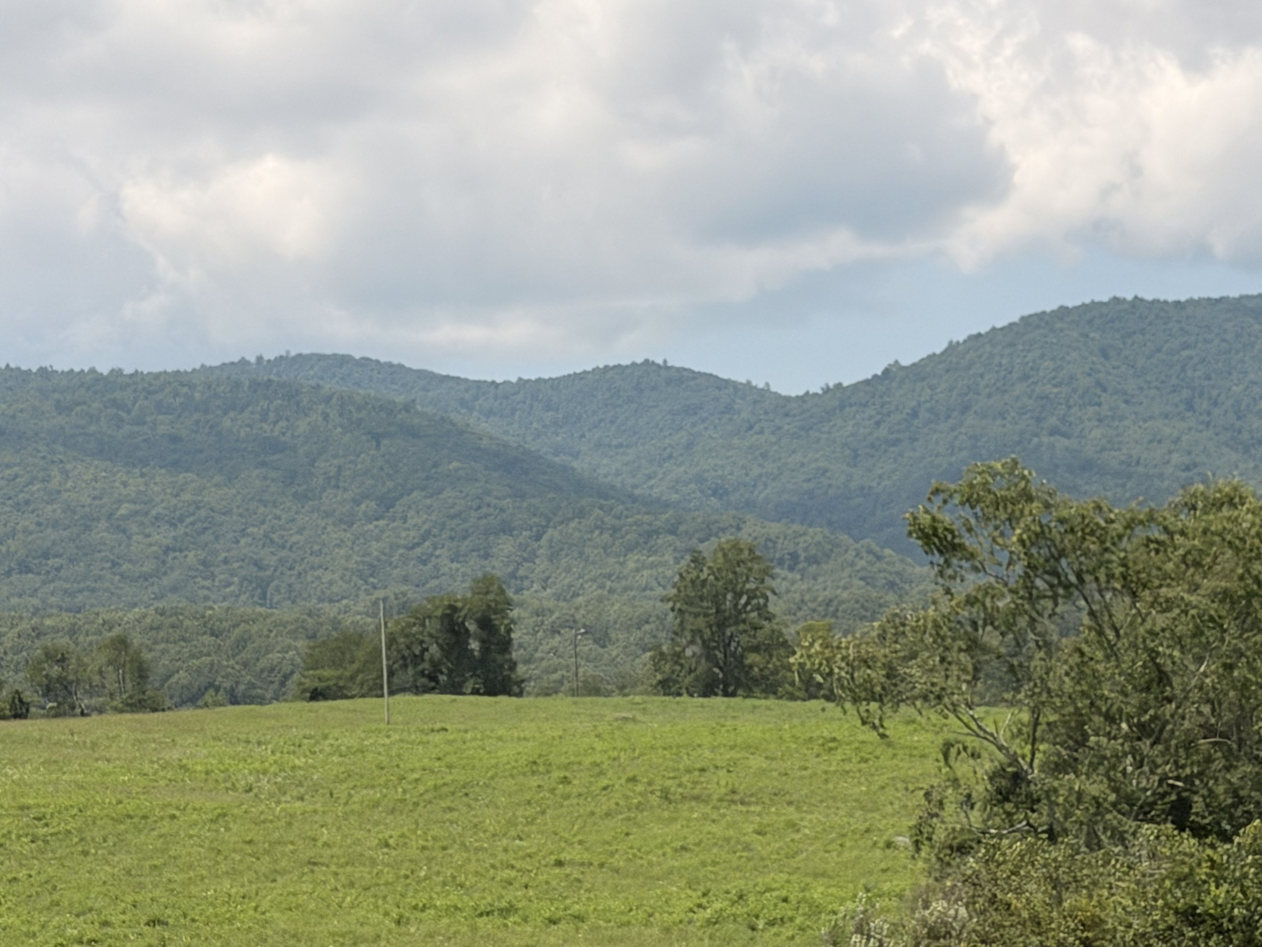 A scenic view of green mountains with a cloudy sky above, and a grassy field in the foreground with a tree on the right.