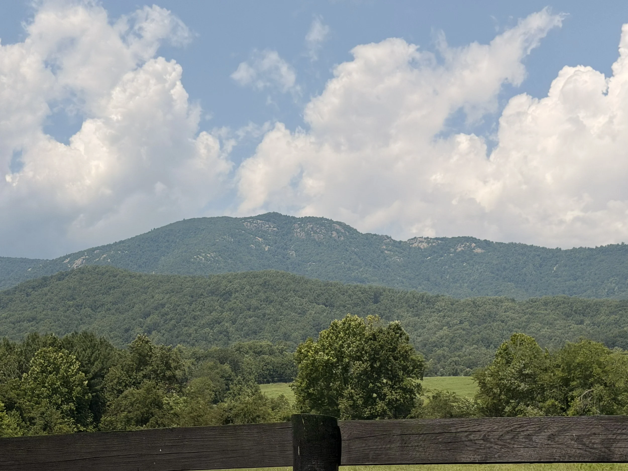 Scenic view of green mountains covered with trees under a partly cloudy sky.